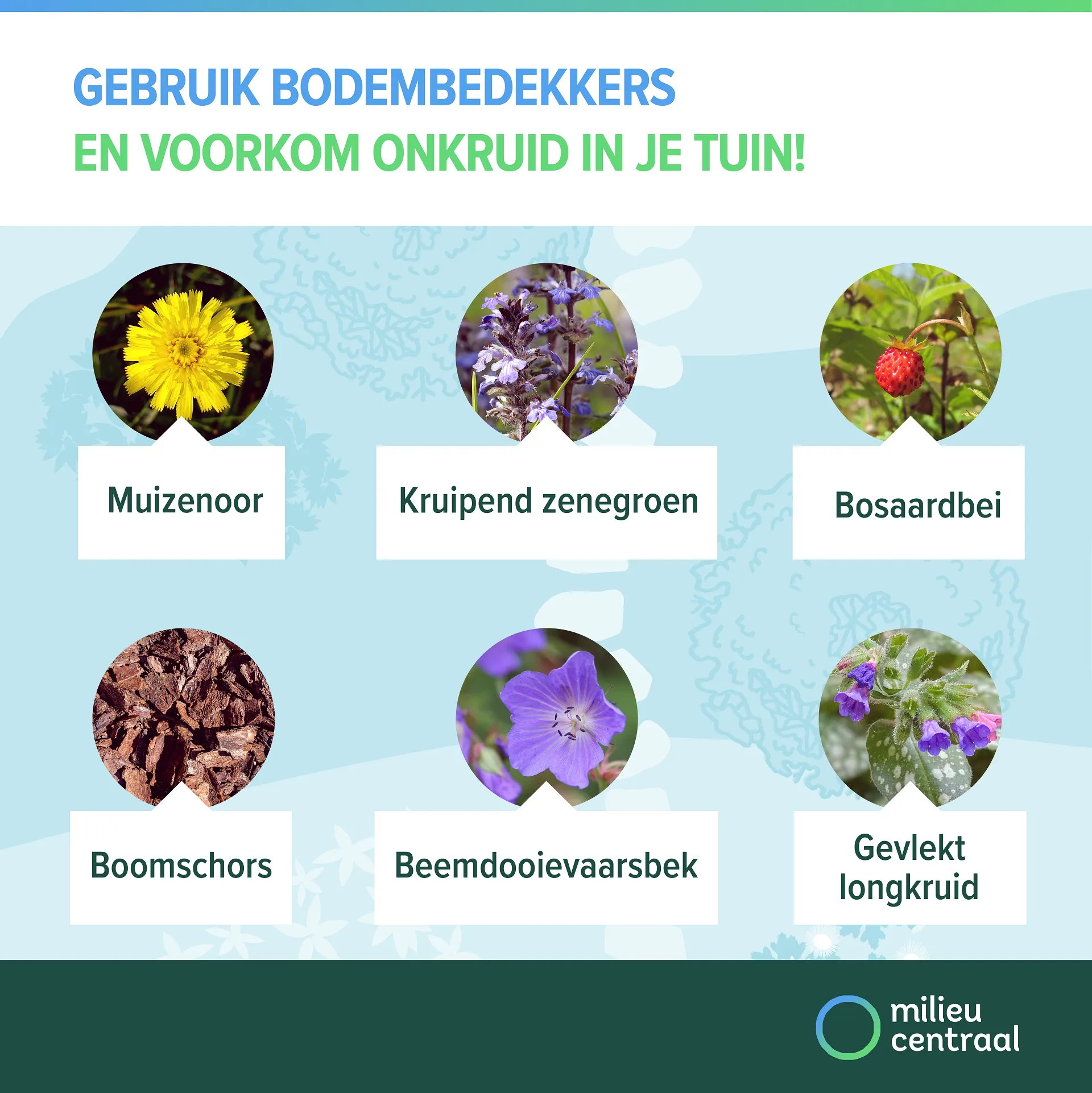 Gebruik bodembedekkers