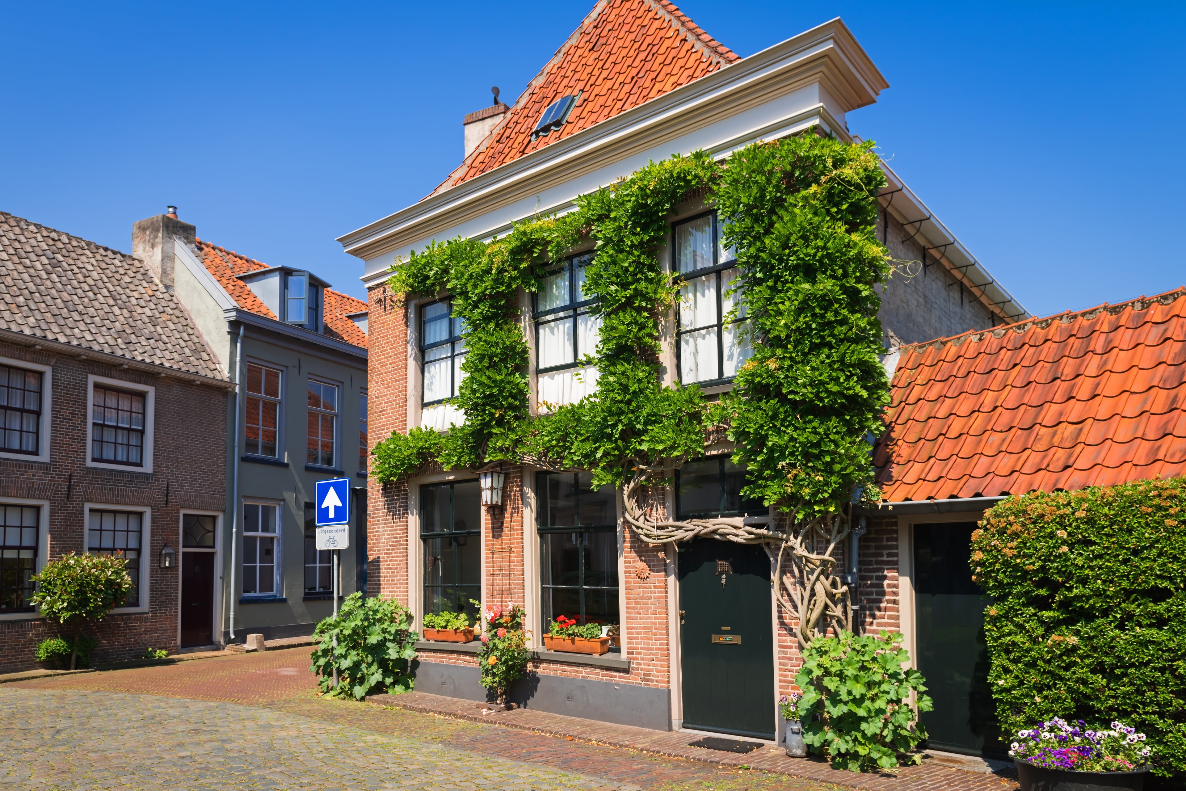 Oud huis met klimop op de gevel