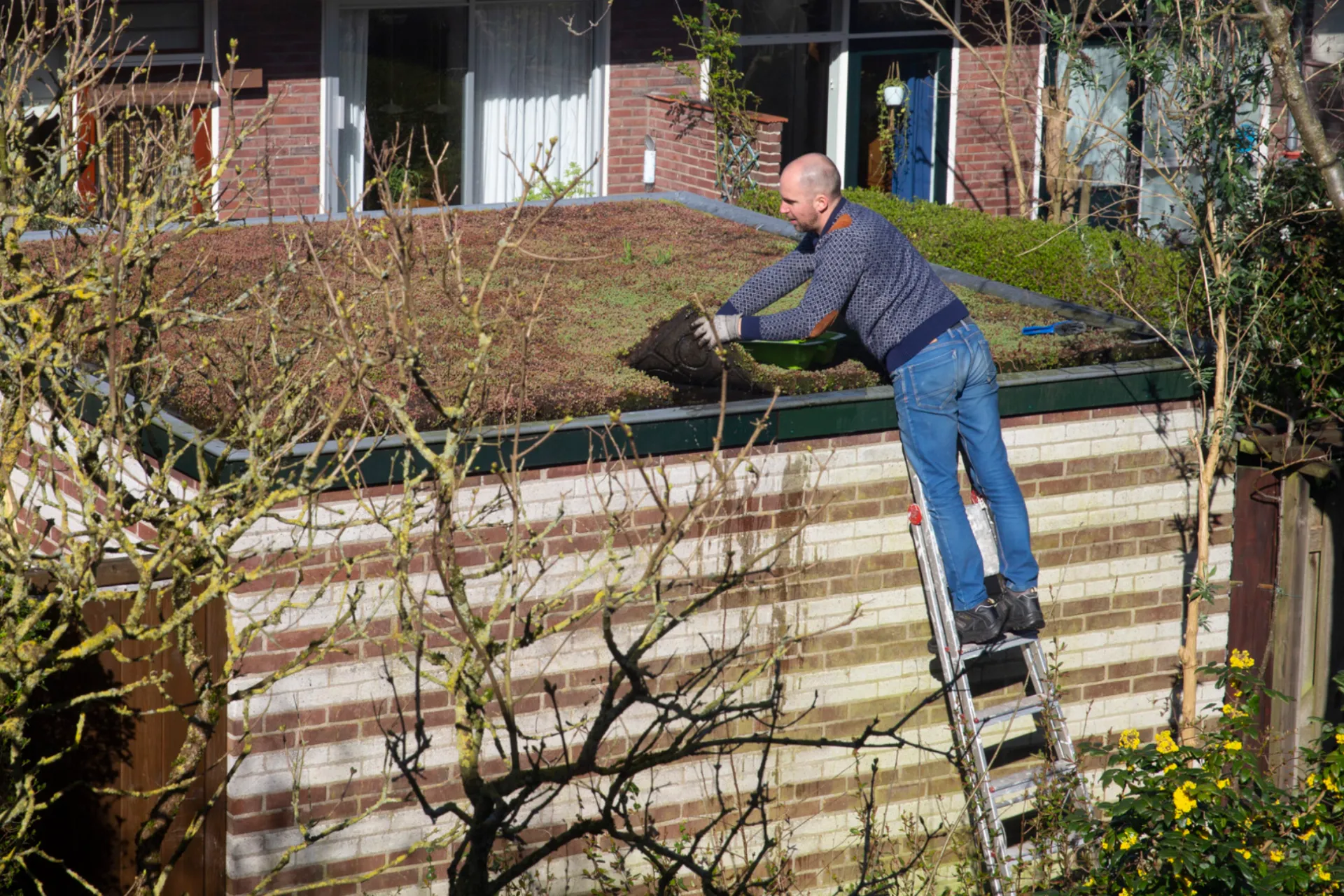 Man legt groen op dak. Groen dak houdt een woning koel.