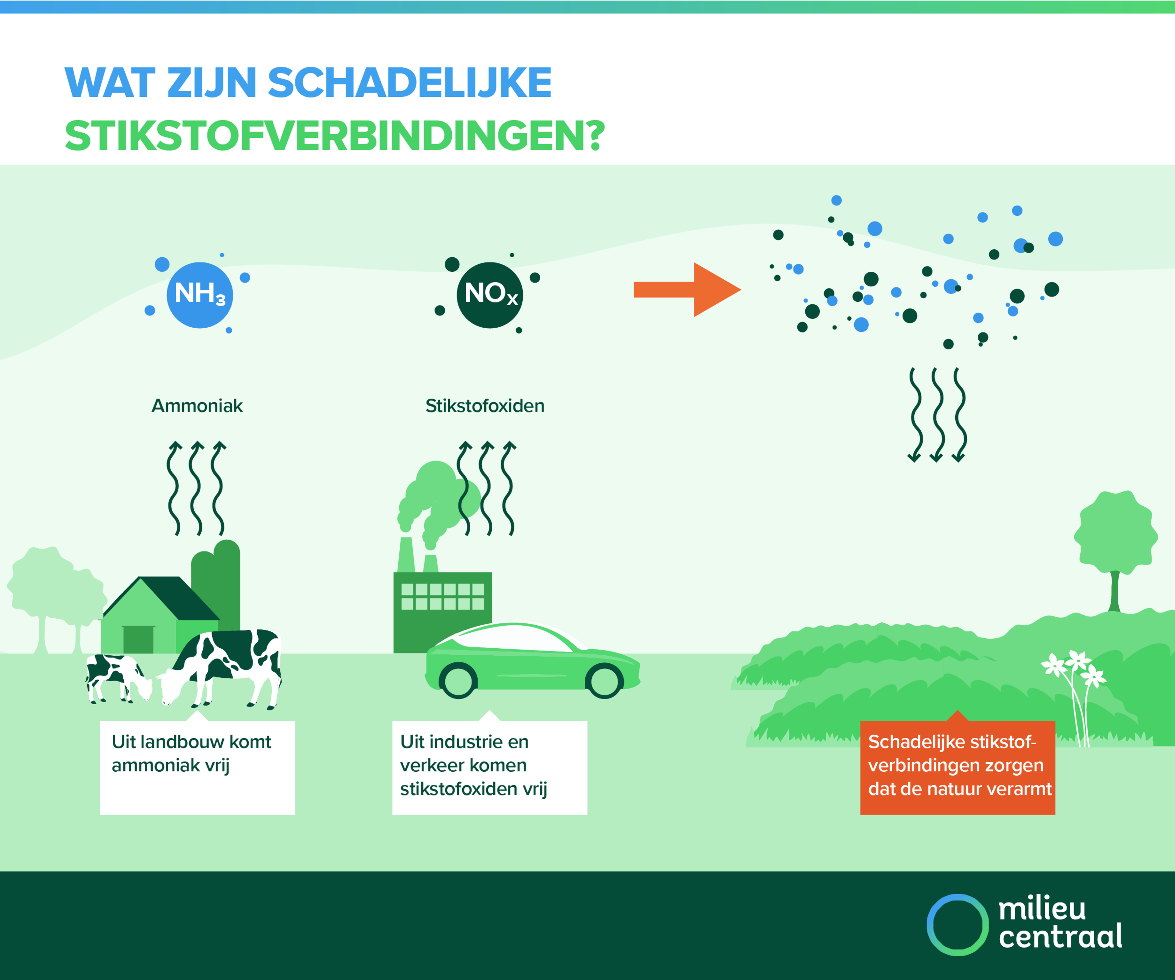 Infographic over stikstof. Stikstof die vrijkomt in de landbouw, het verkeer en de industrie zorgt voor schade aan de natuur.