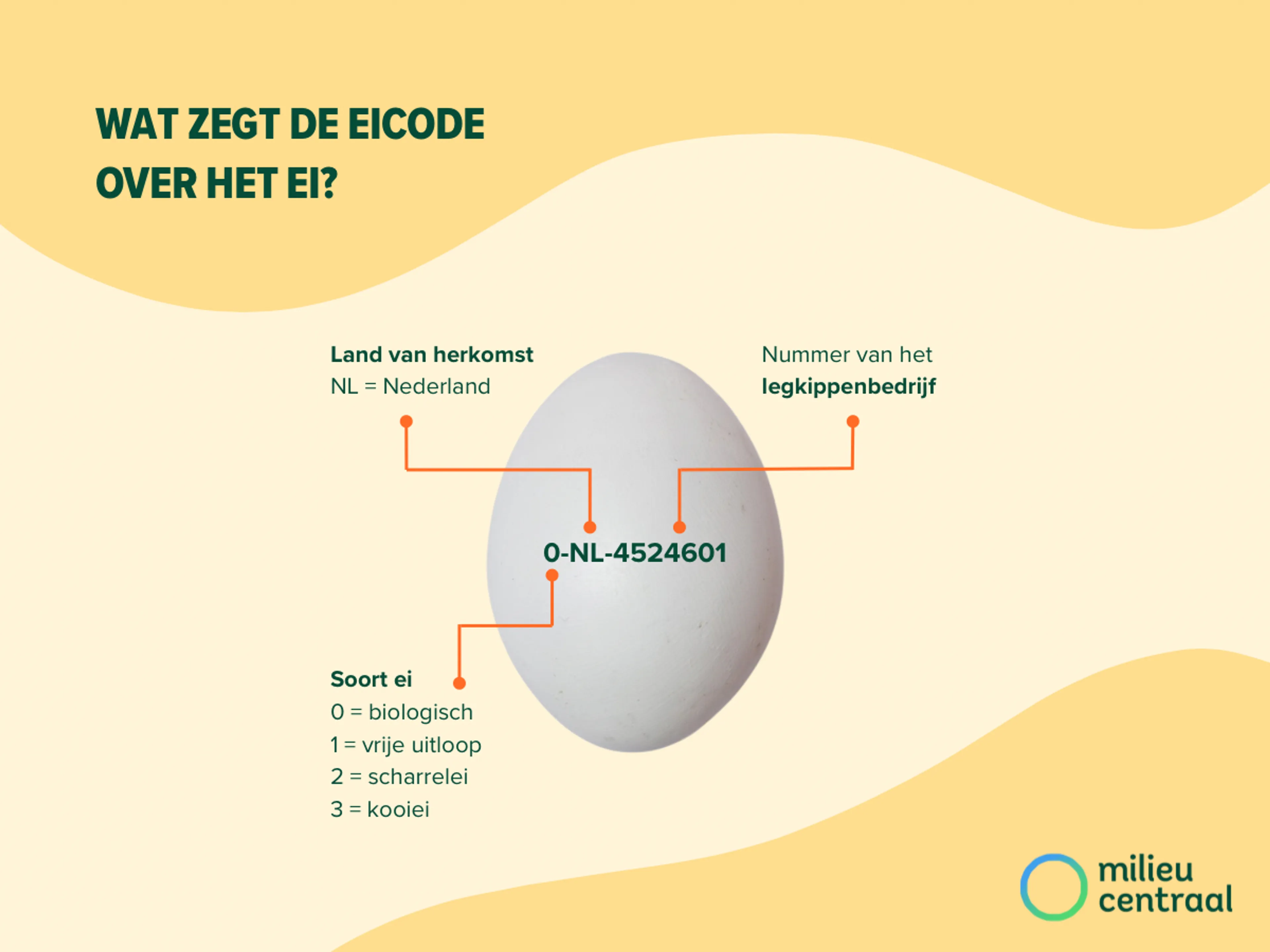 Een ei met eicode en uitleg over wat die eicode over het ei zegt. Check de eicode.