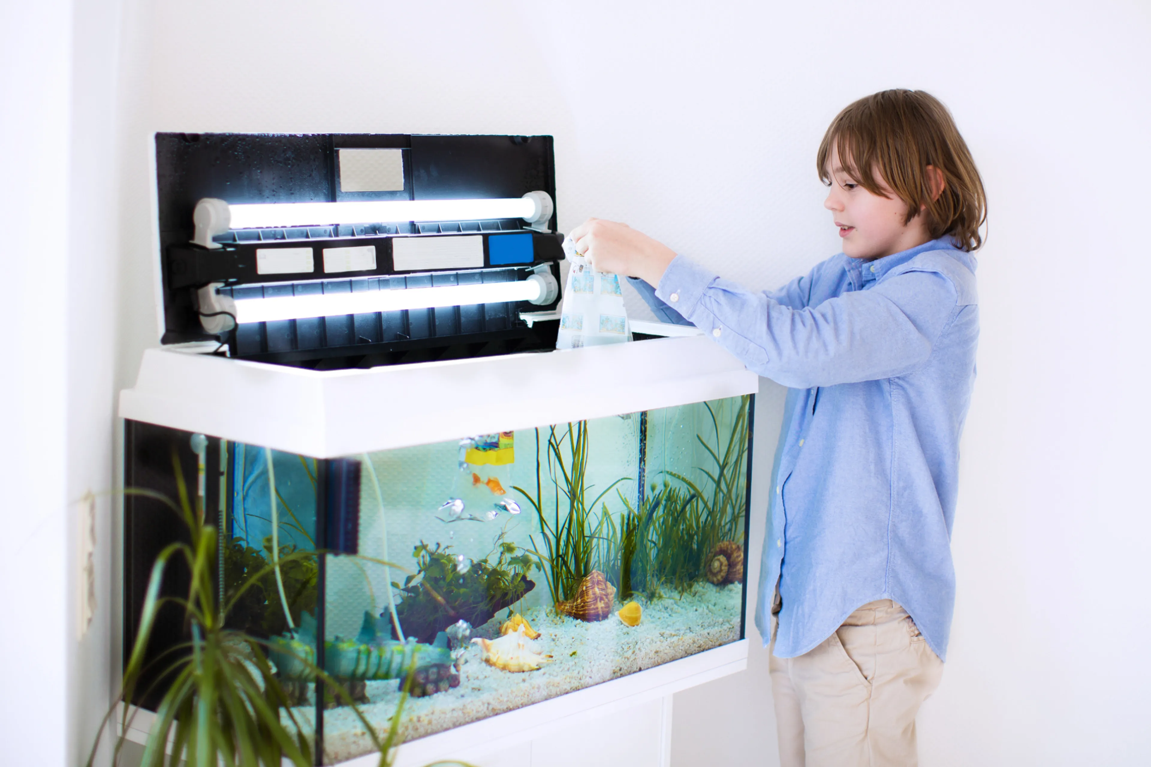 Een kind laat een vis vrij in een aquarium. Een aquarium is een grote energieslurper.