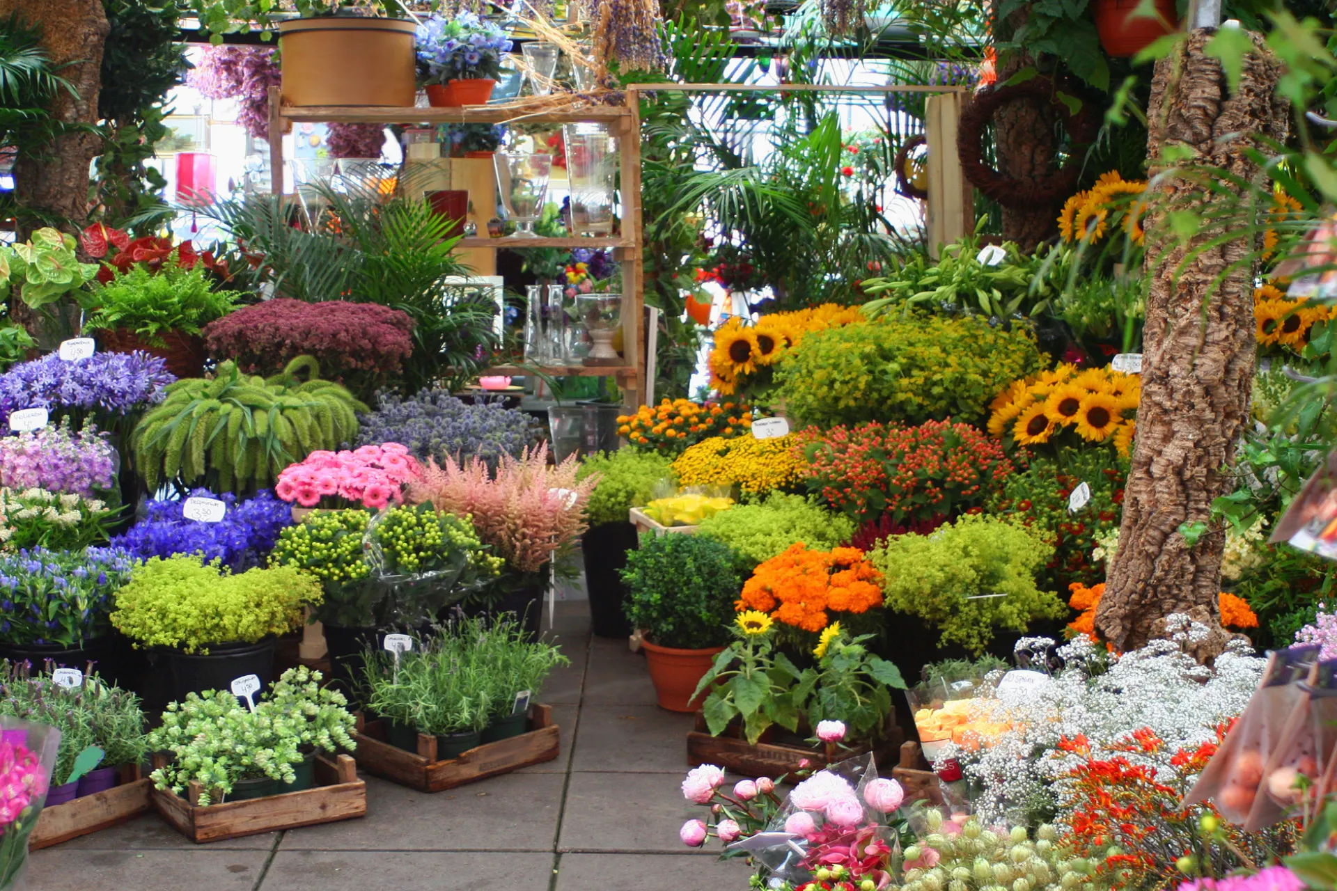 Bloemen