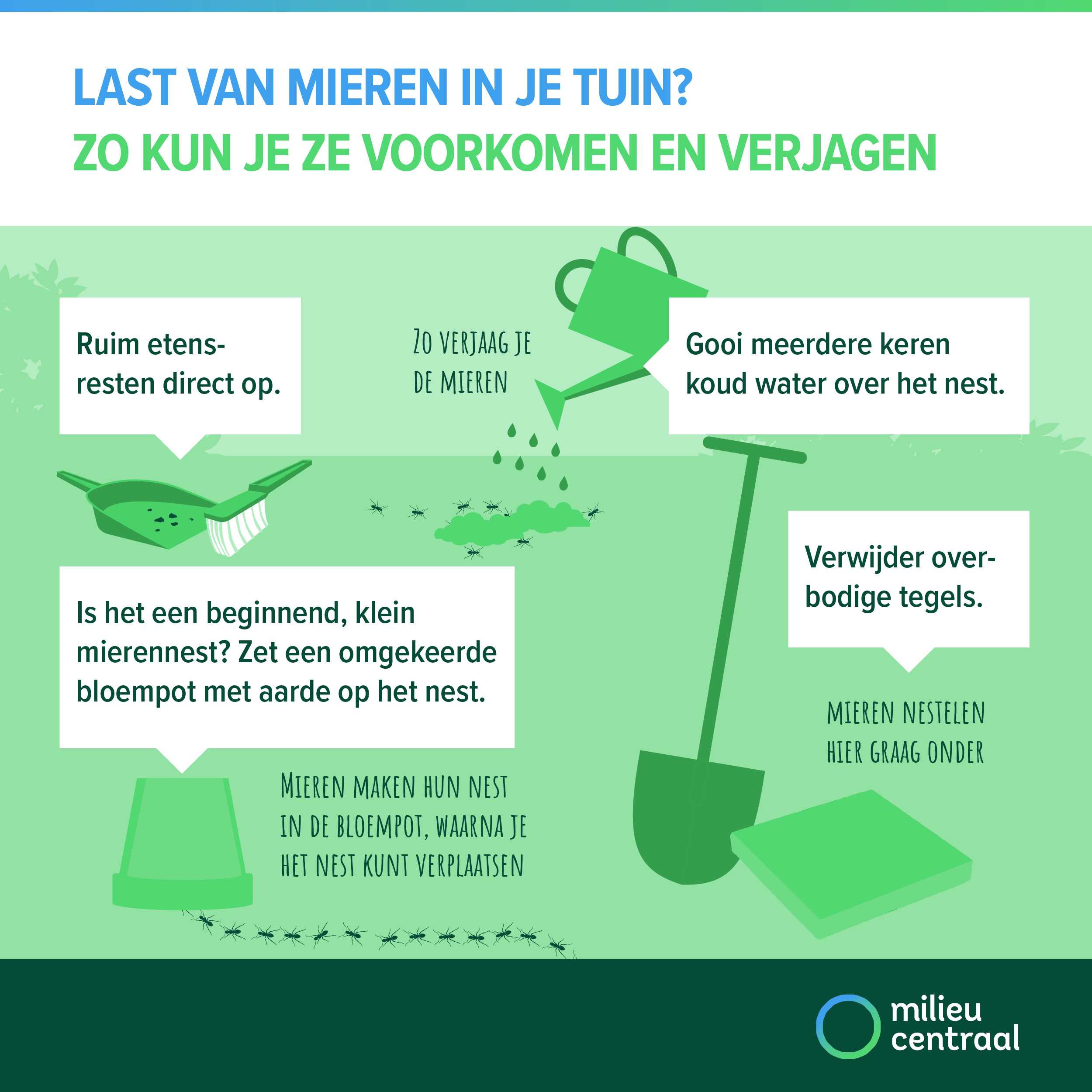 Visual: tips tegen mieren