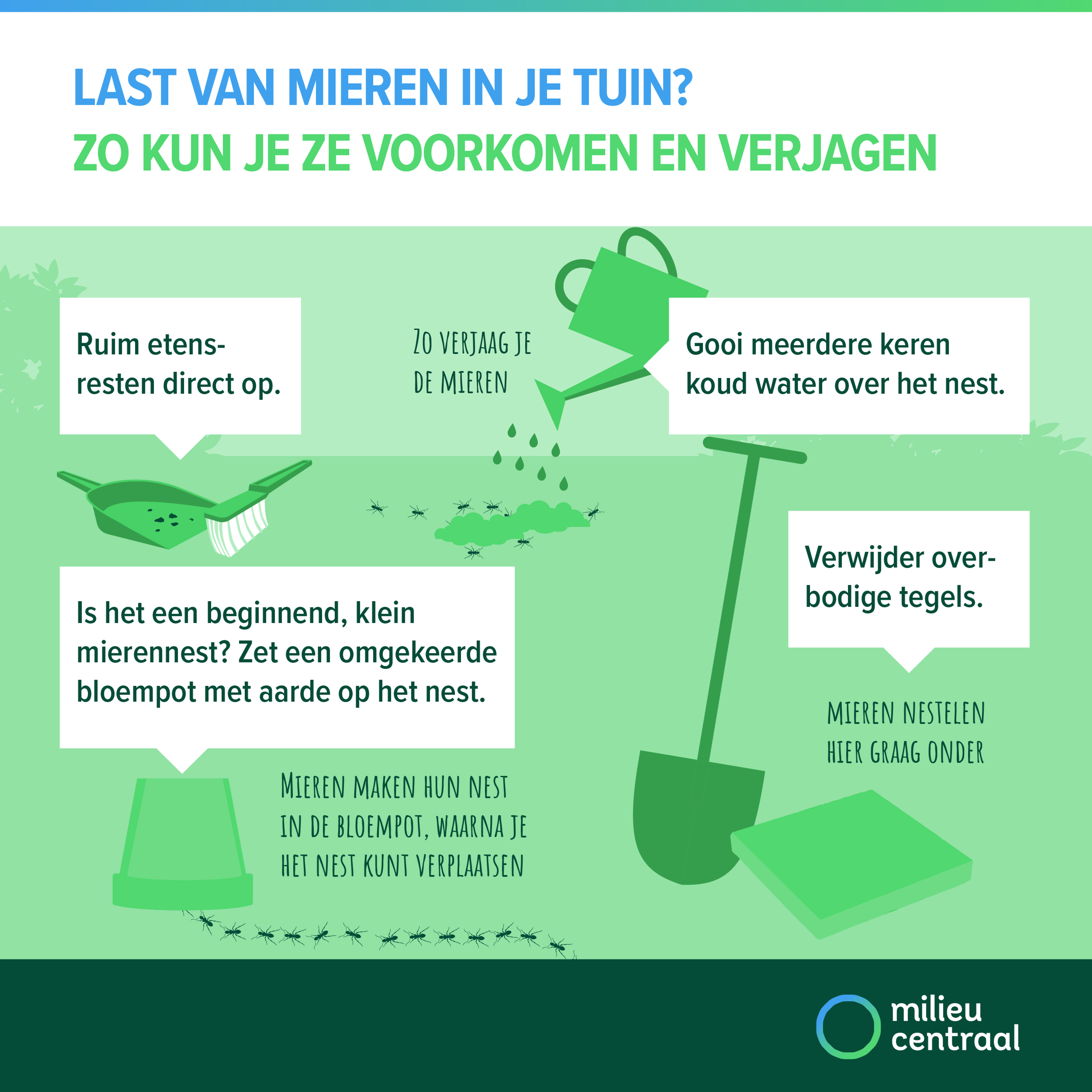 Visual: tips tegen mieren