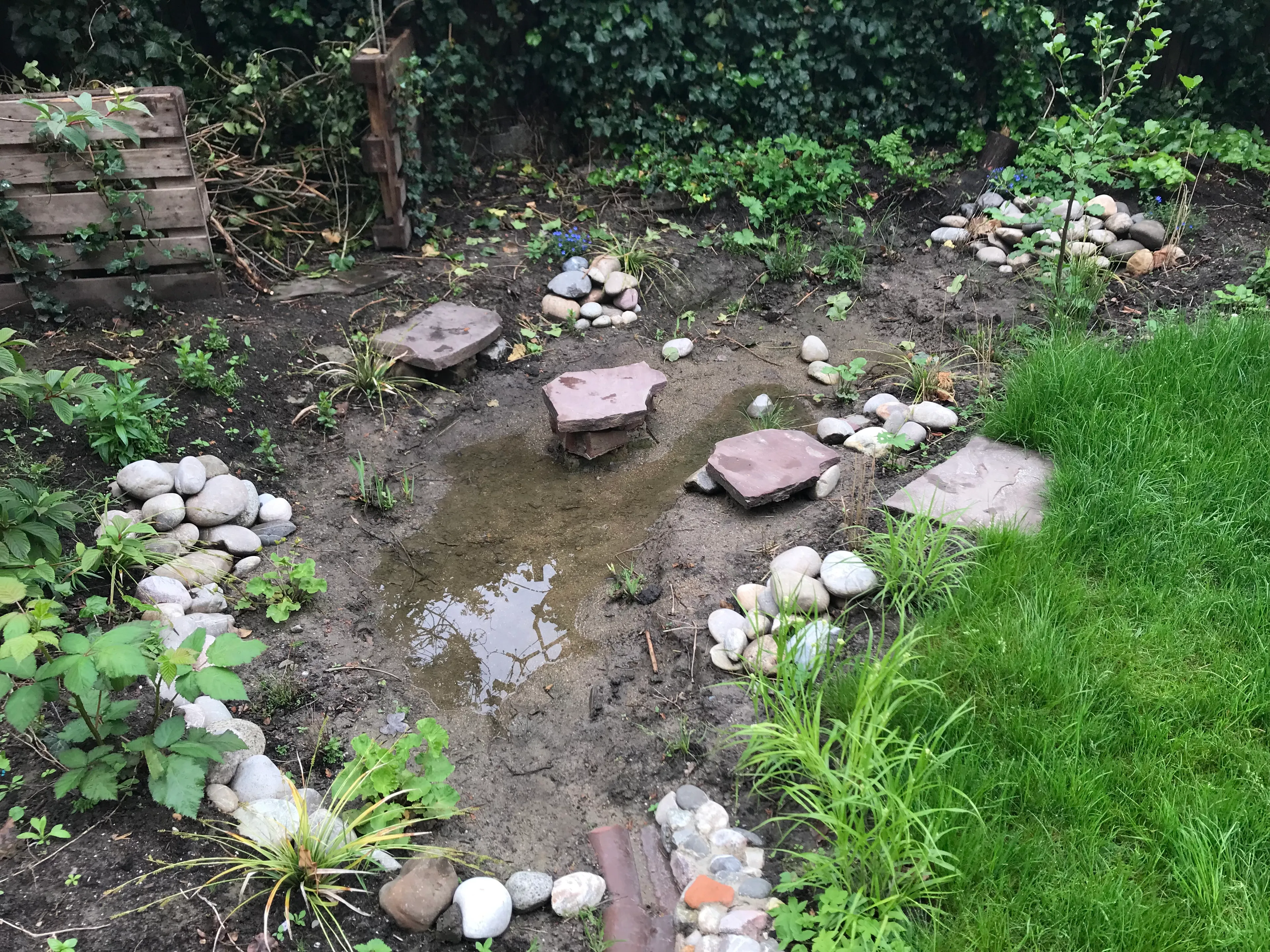 Foto van een wadi met een laagje regenwater en stapstenen. Een wadi kan helpen met de opvang van regenwater.