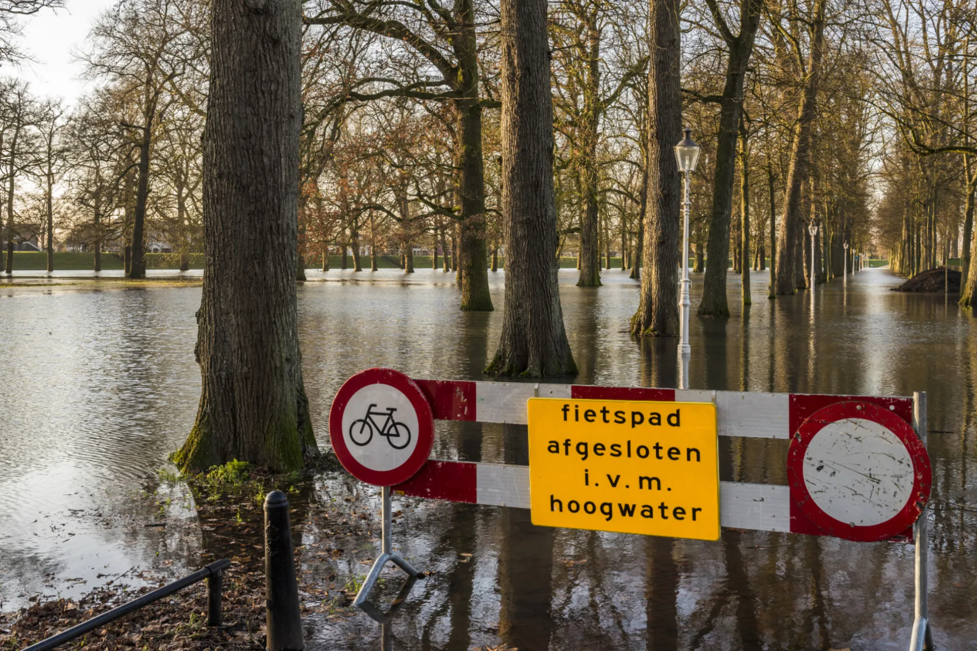 Klimaatverandering