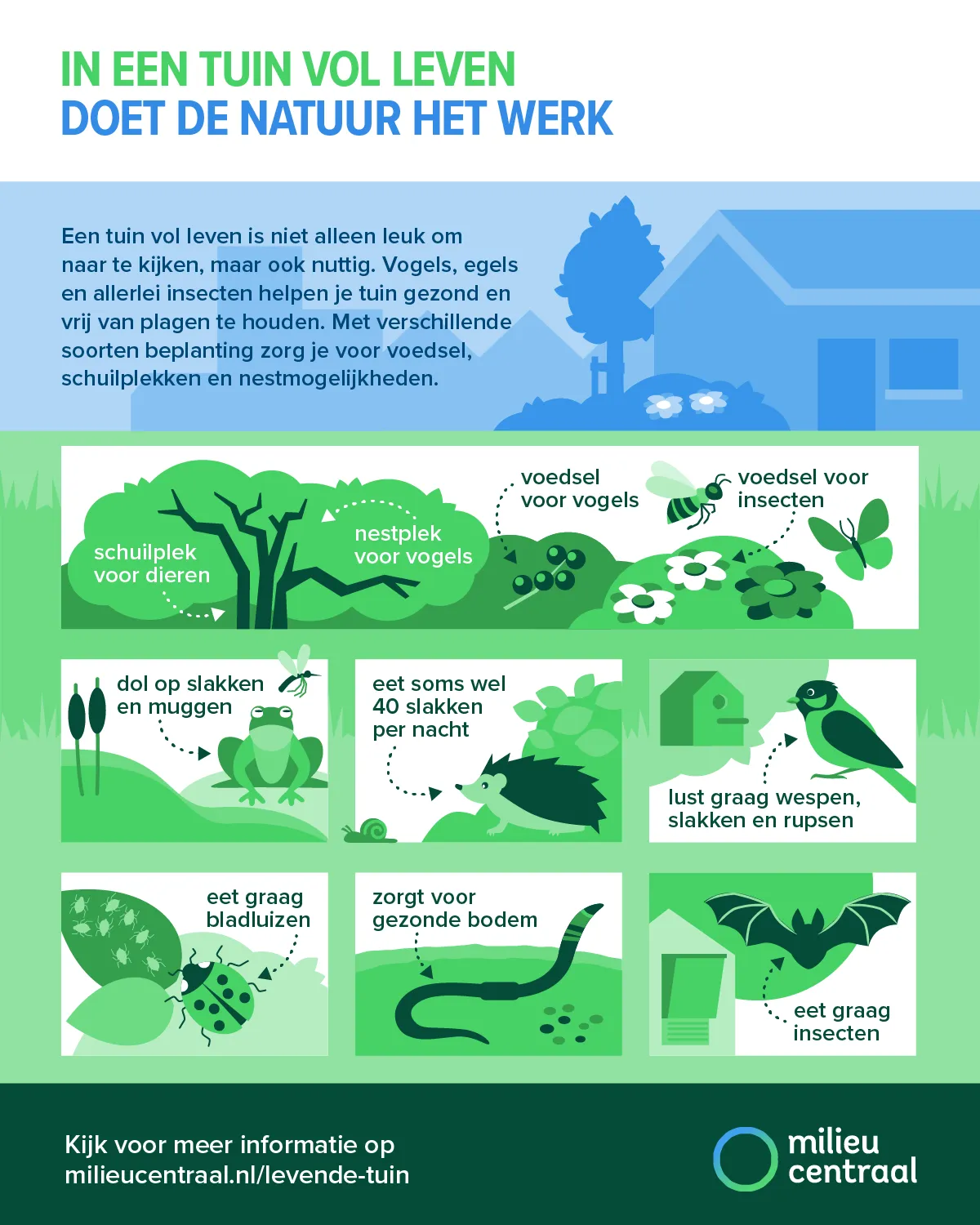 In een tuin vol leven doet de natuur het werk