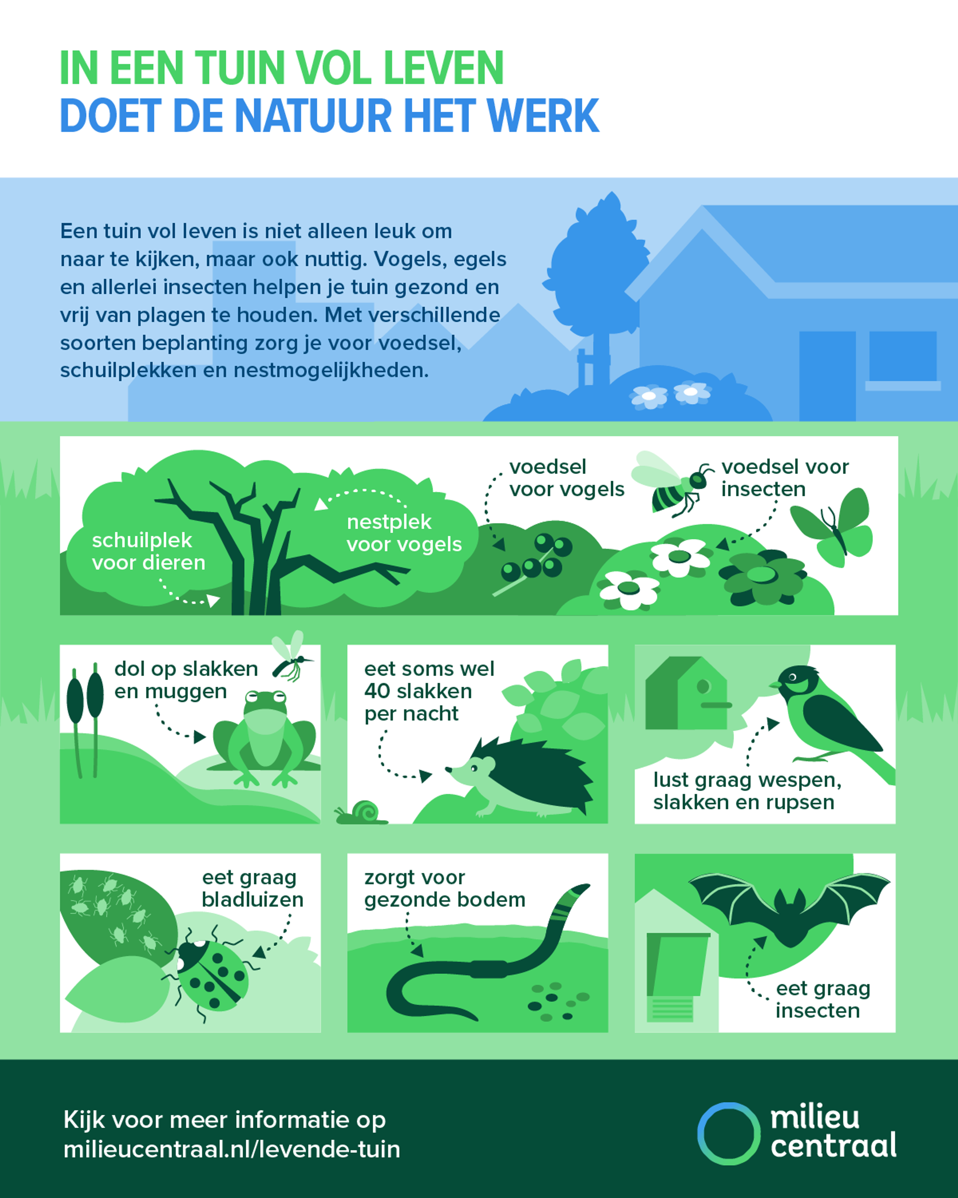 In een tuin vol leven doet de natuur het werk