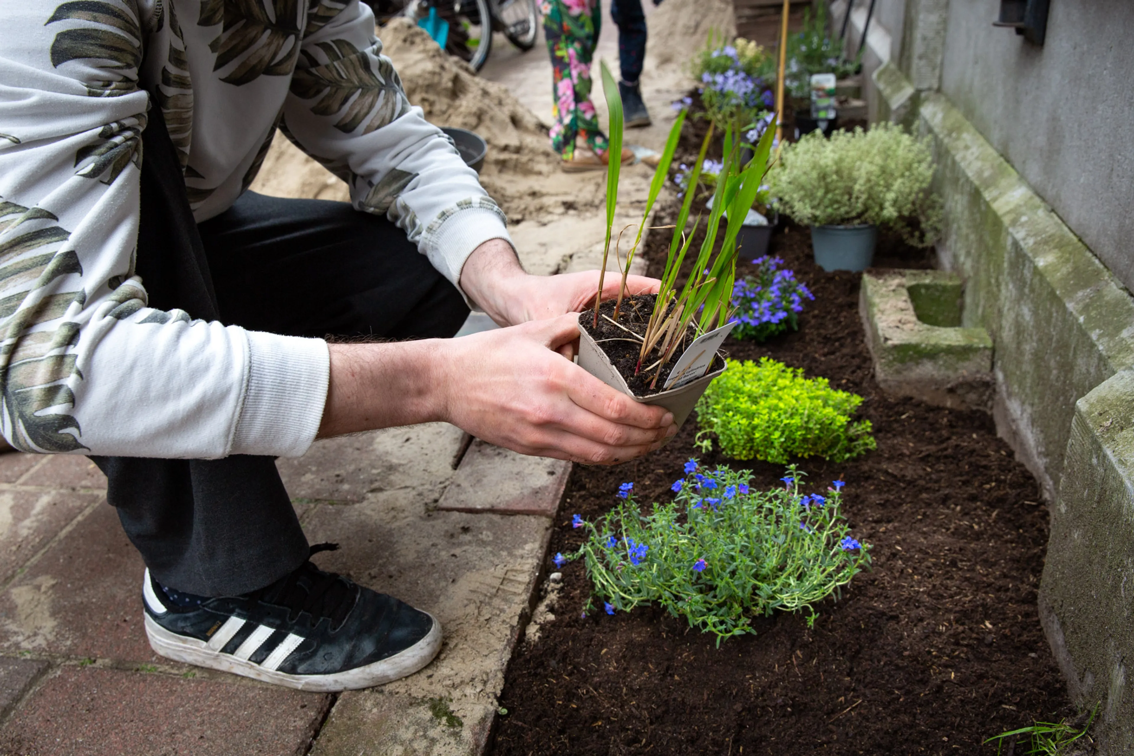 Geveltuin krijgt planten