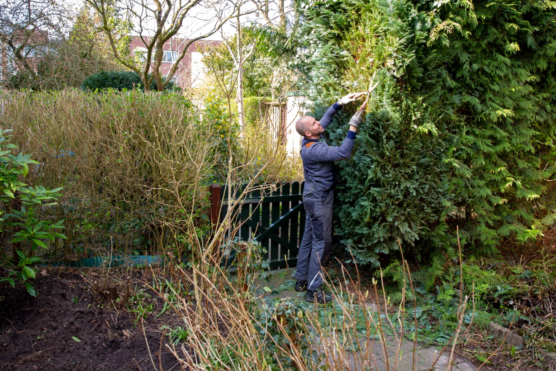 Haag of schutting om je tuin
