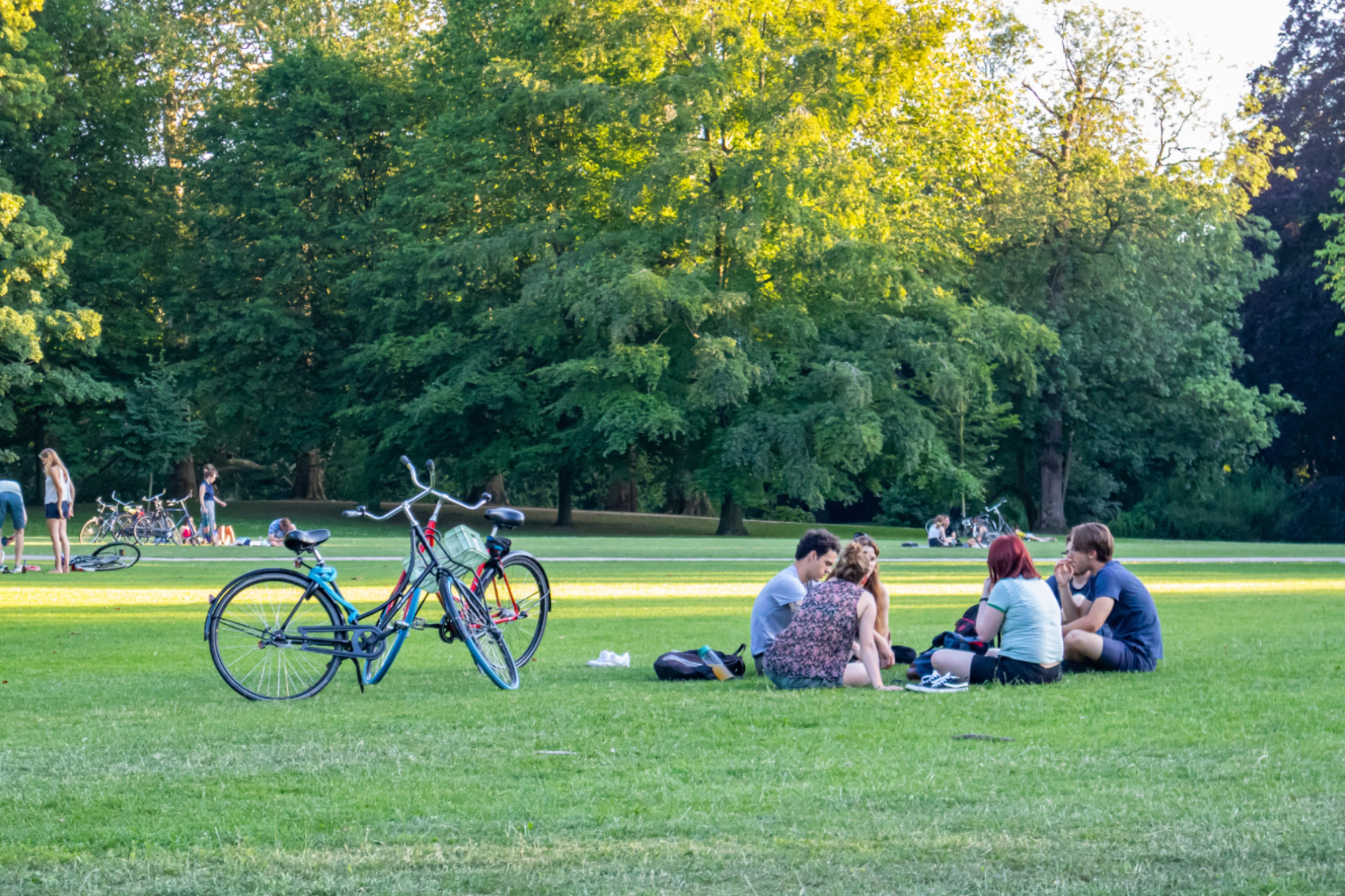 Groep jongeren in park. Eigen picknickservies meenemen voorkomt afval.