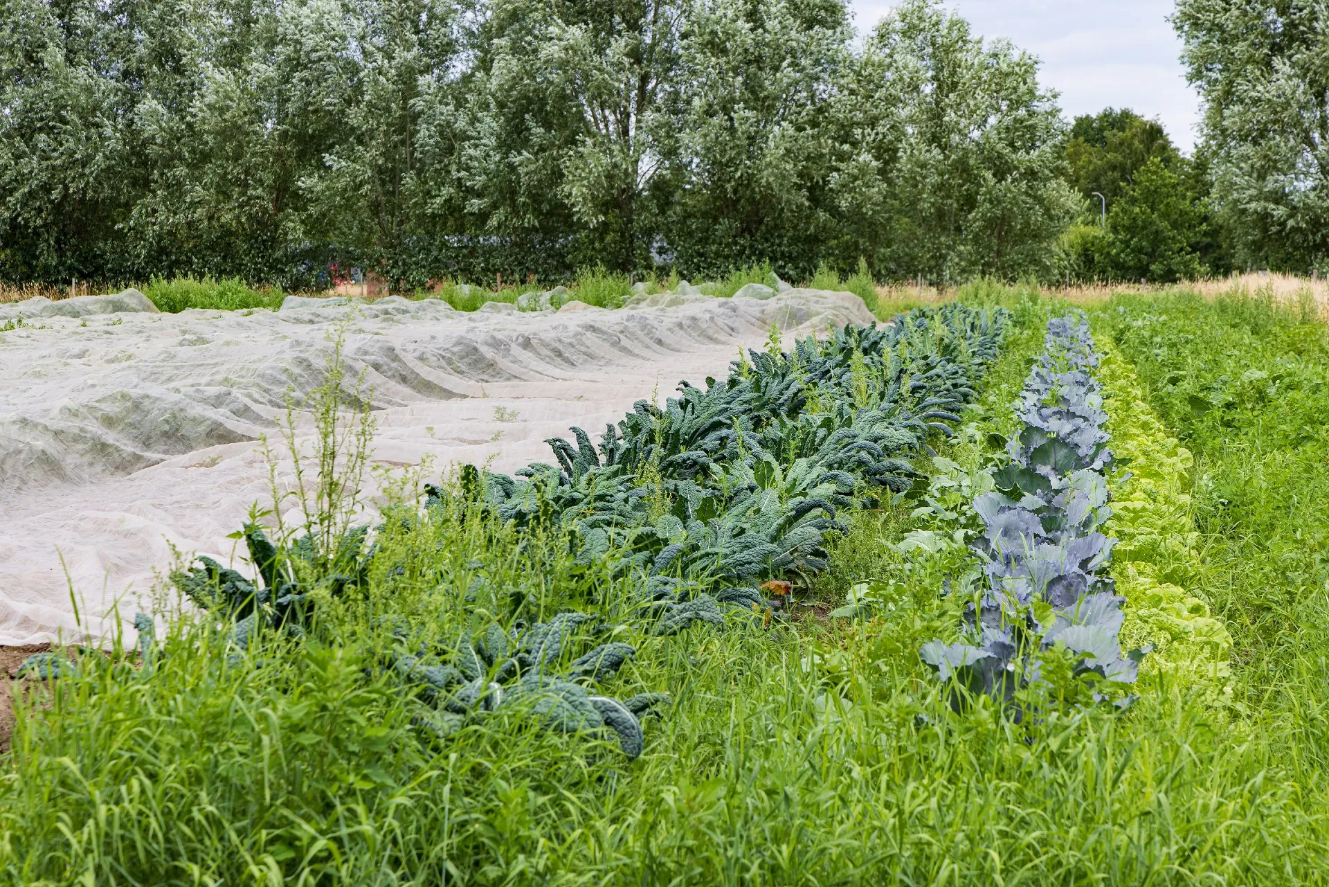 5 landbouwmethoden op een rij