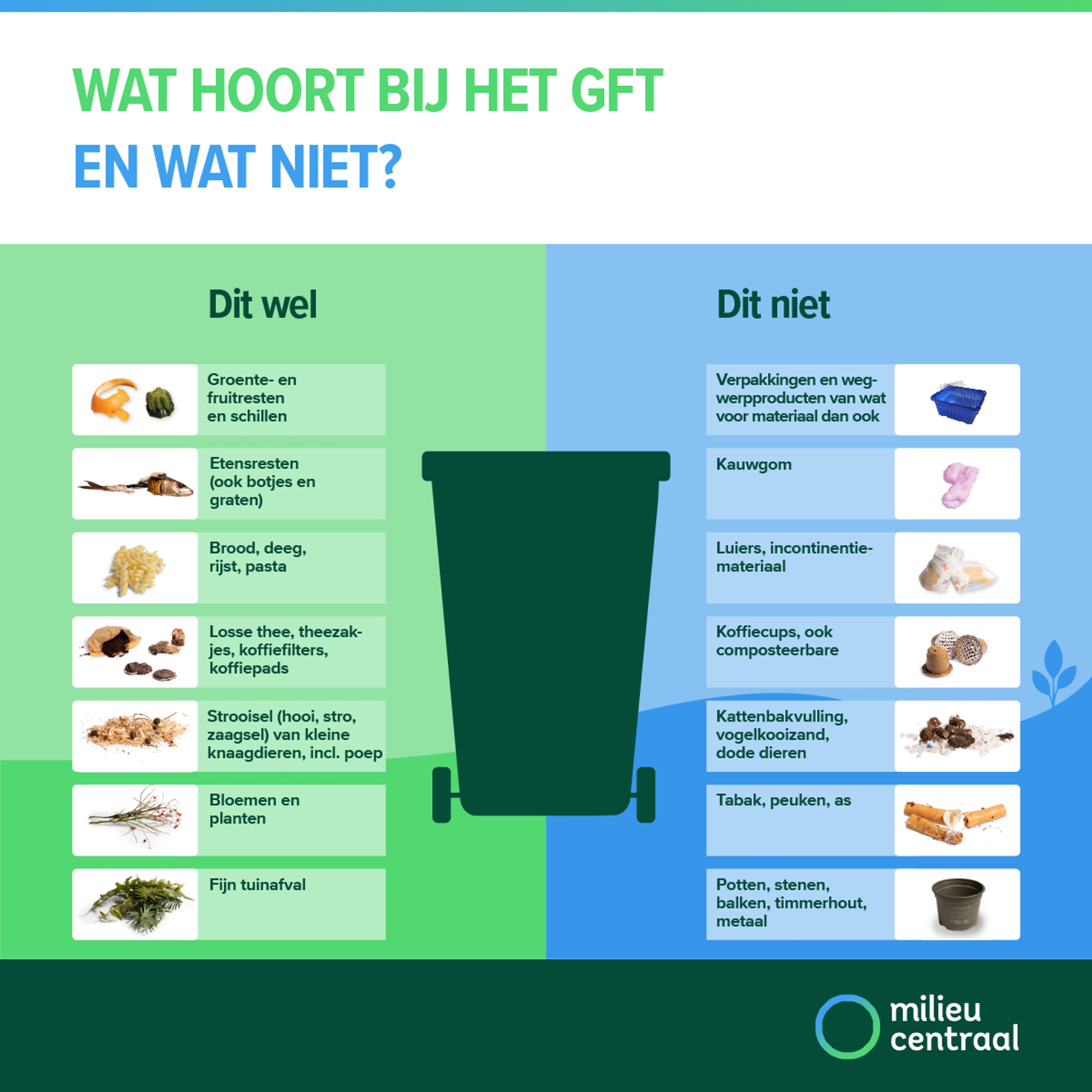 Gft-lijst: wat hoort wel of niet bij het gft?