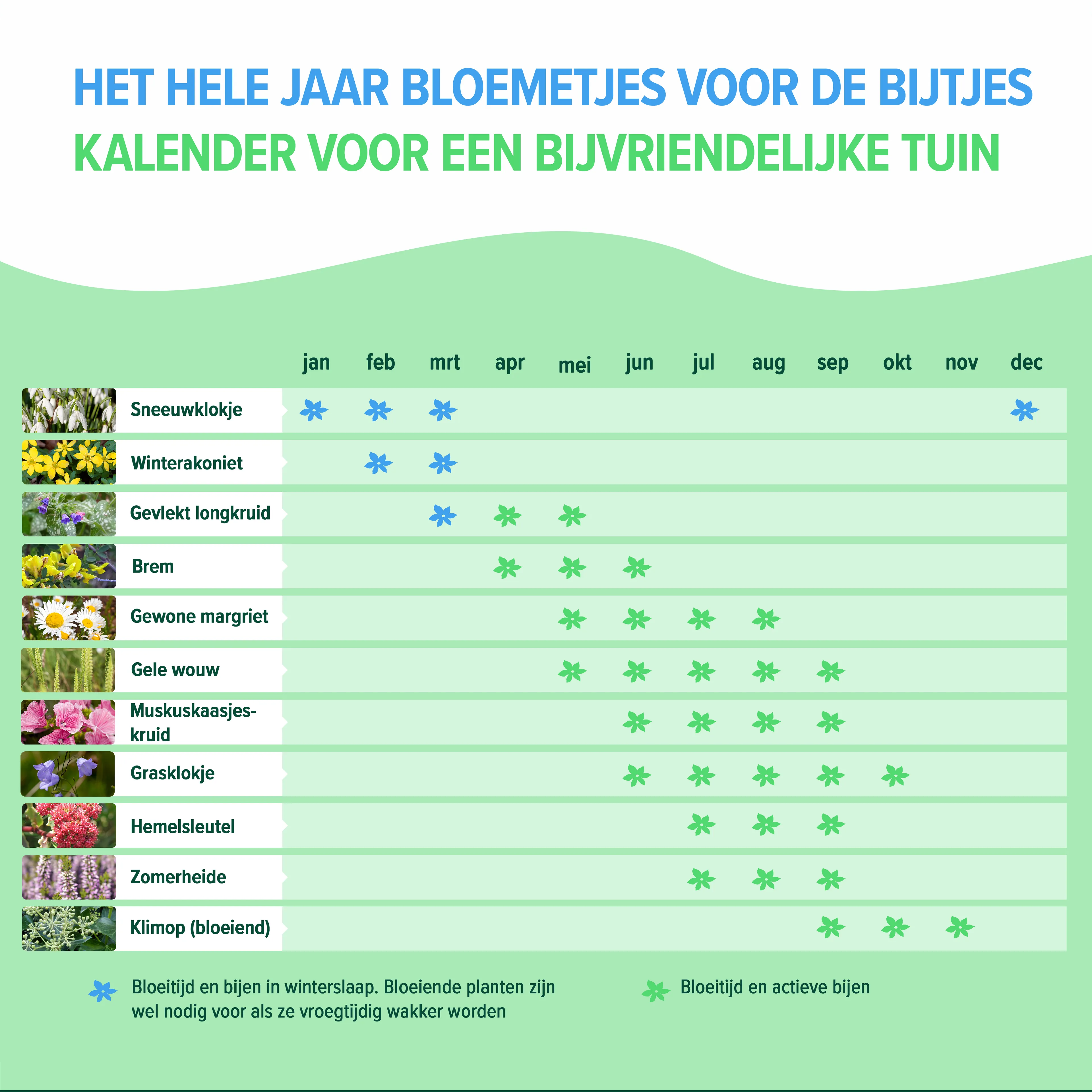Bijenboog