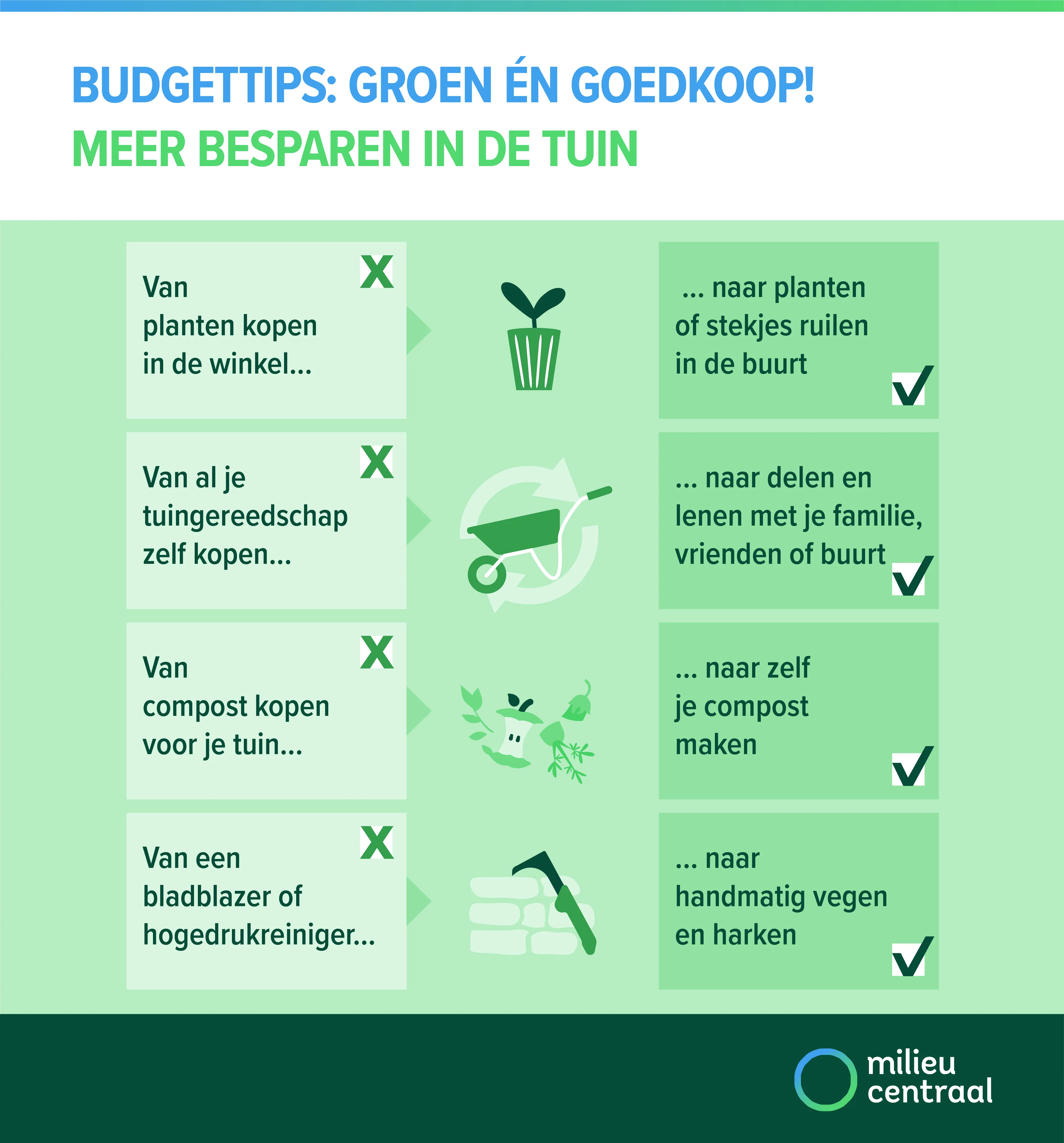 Budgettips voor je tuin: ruil planten en stekjes met de buurt in plaats van nieuwe kopen, deel tuingereedschap, maak je eigen compost en veeg en hark met de hand in plaats van een bladblazer of hogedrukreiniger.