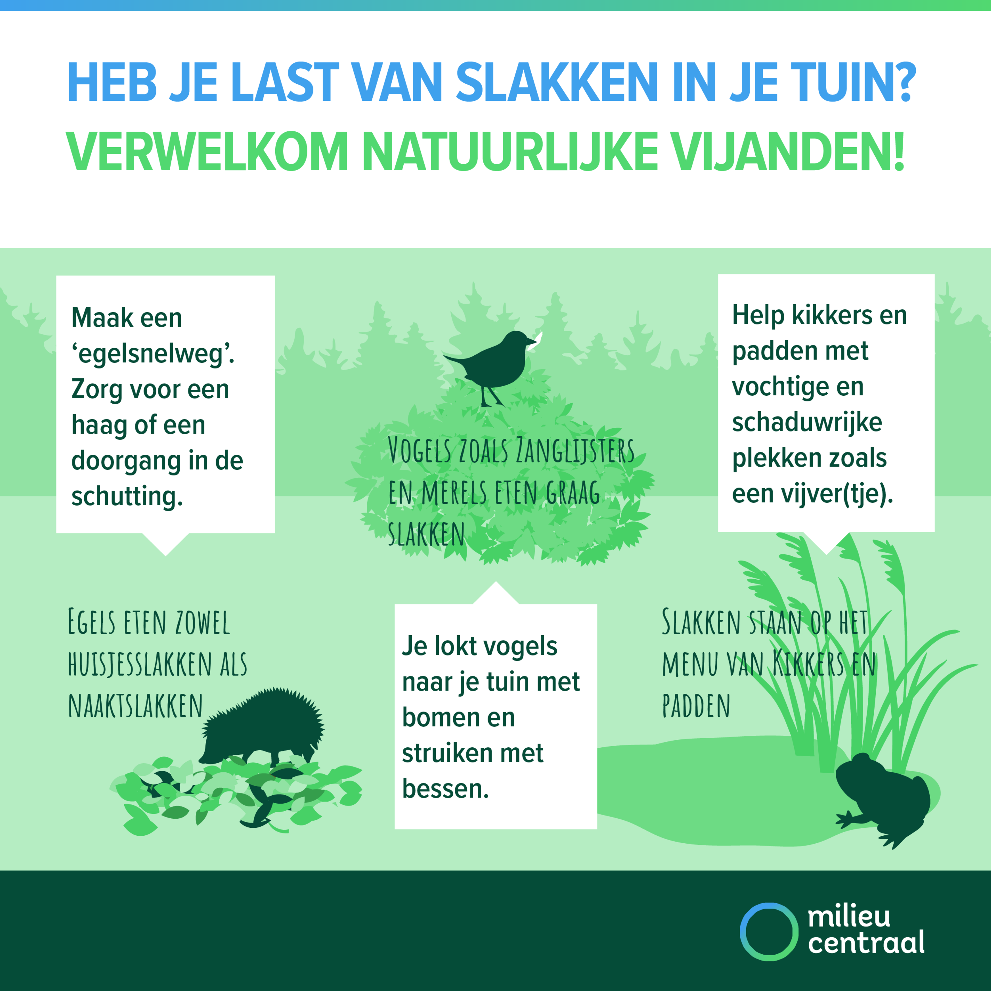 Visual: natuurlijke vijanden
