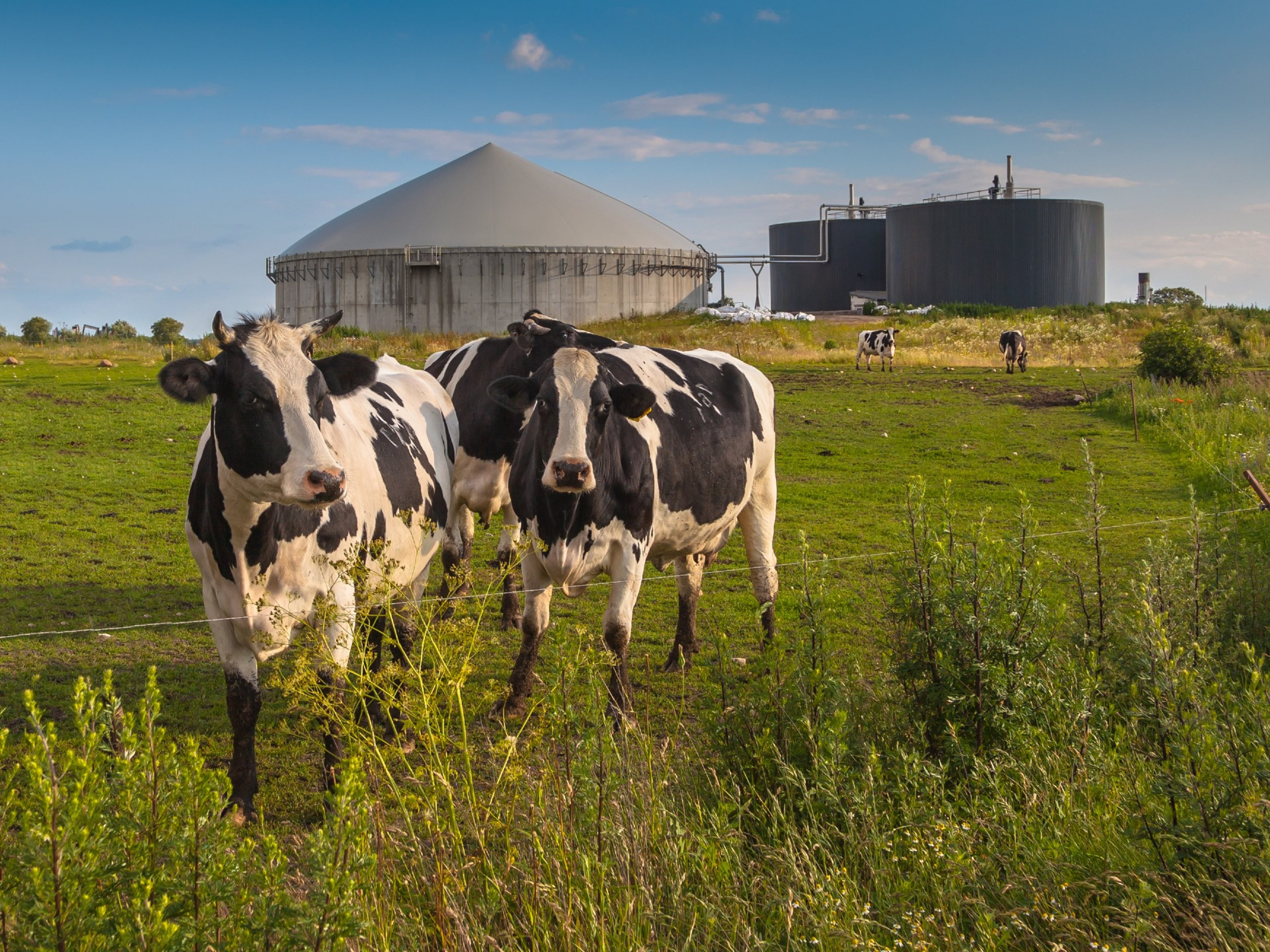 Foto: biogasinstallatie