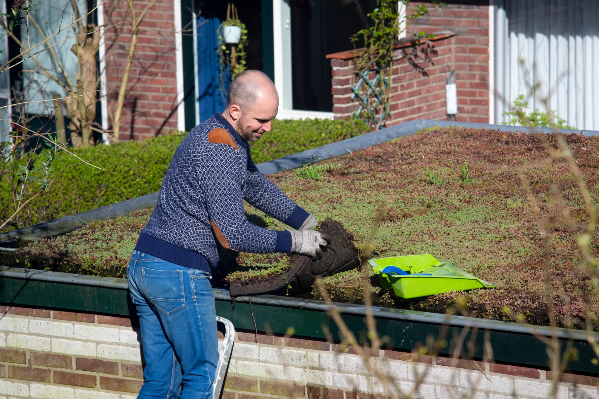 Groen dak