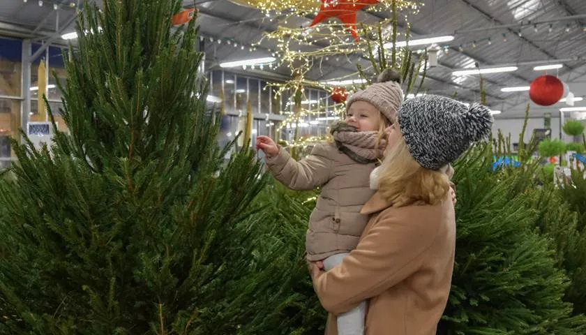 Kerstbomen
