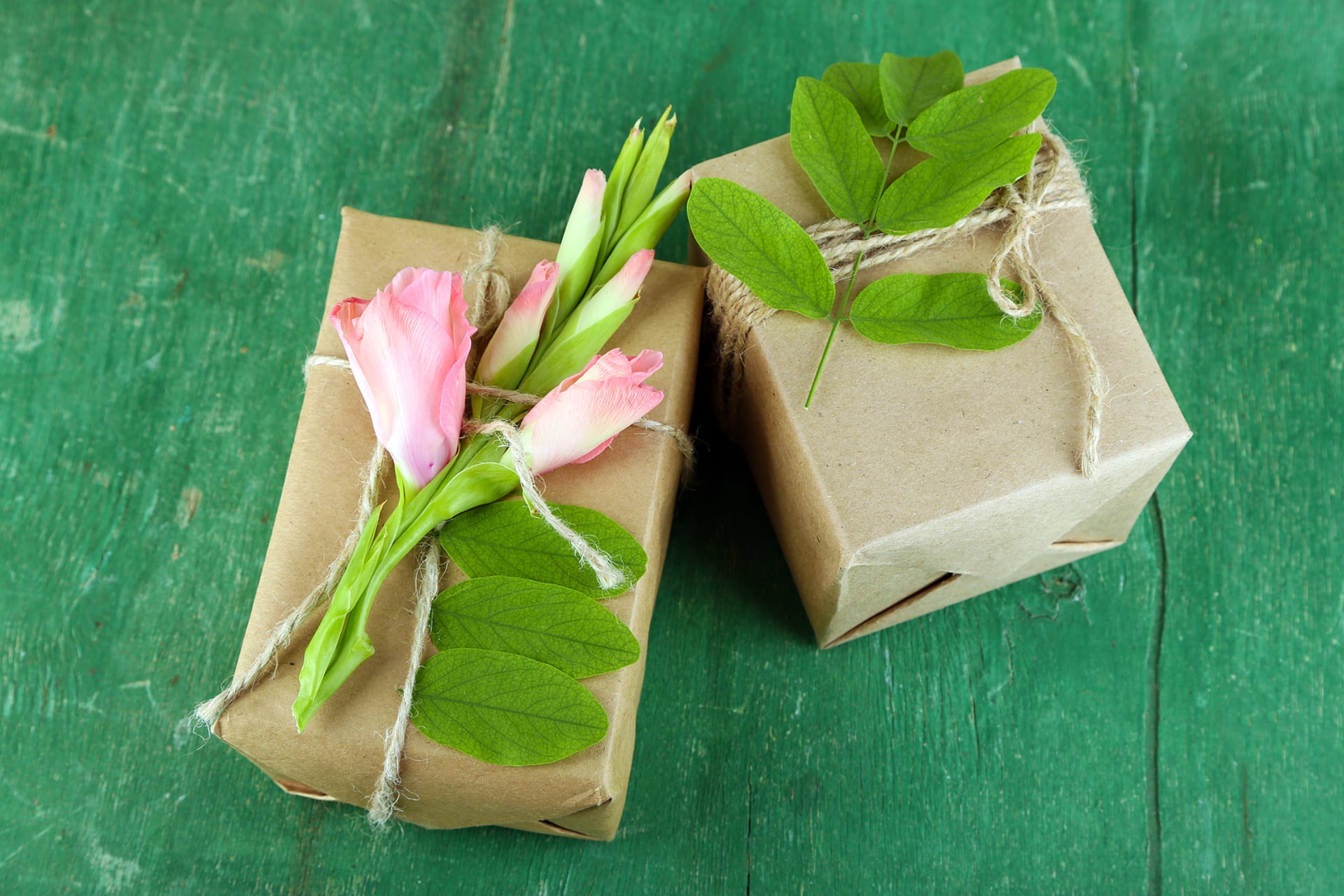 Groene cadeauwijzer