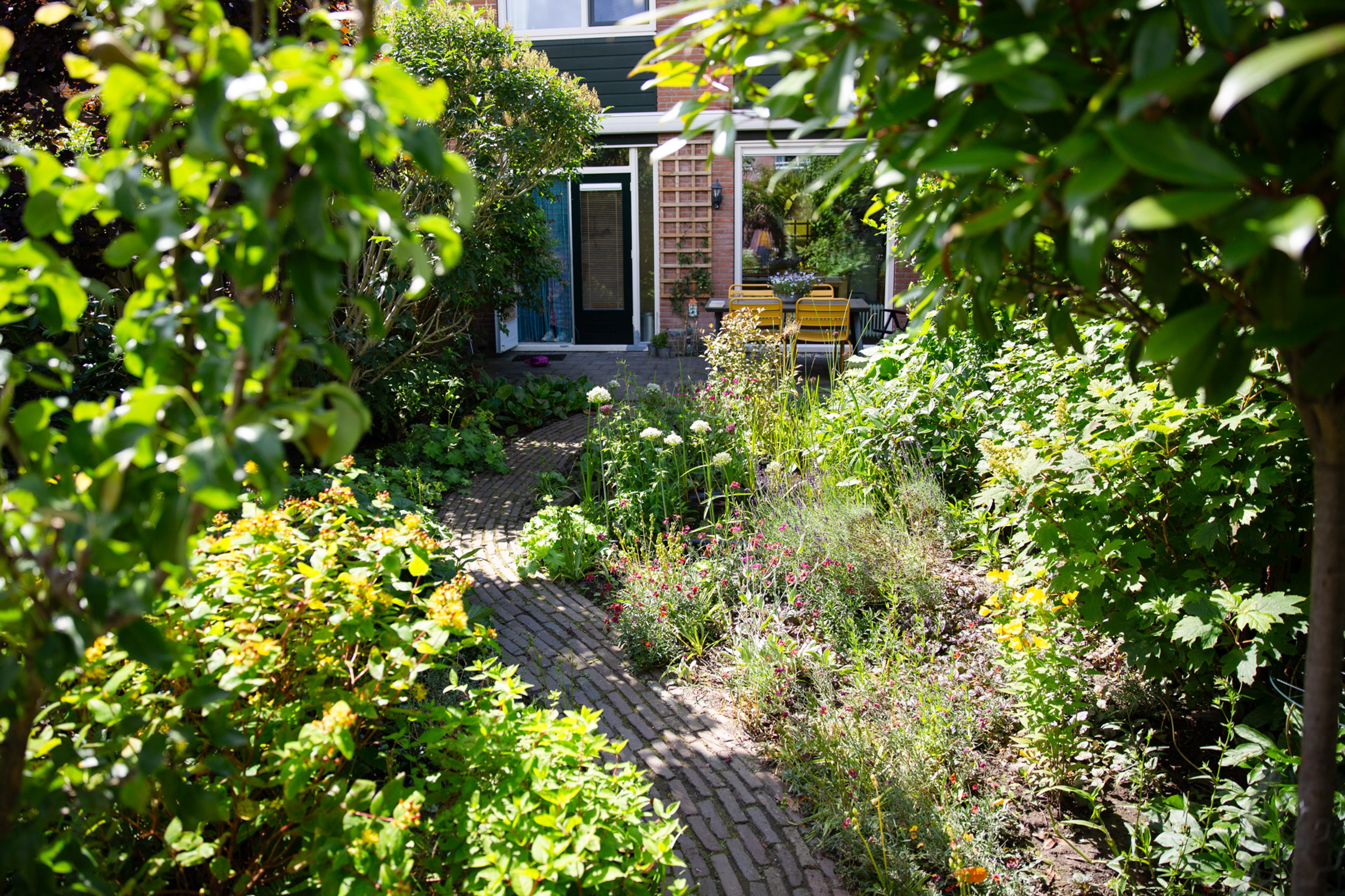Op de afbeelding zie je de achtertuin van een rijtjeshuis. Je ziet achterin een terras met een tuintafel en tuinstoelen. Vooraan zie je een stenen pad met aan beide kanten veel groen: planten, bloemen, struiken en bomen.