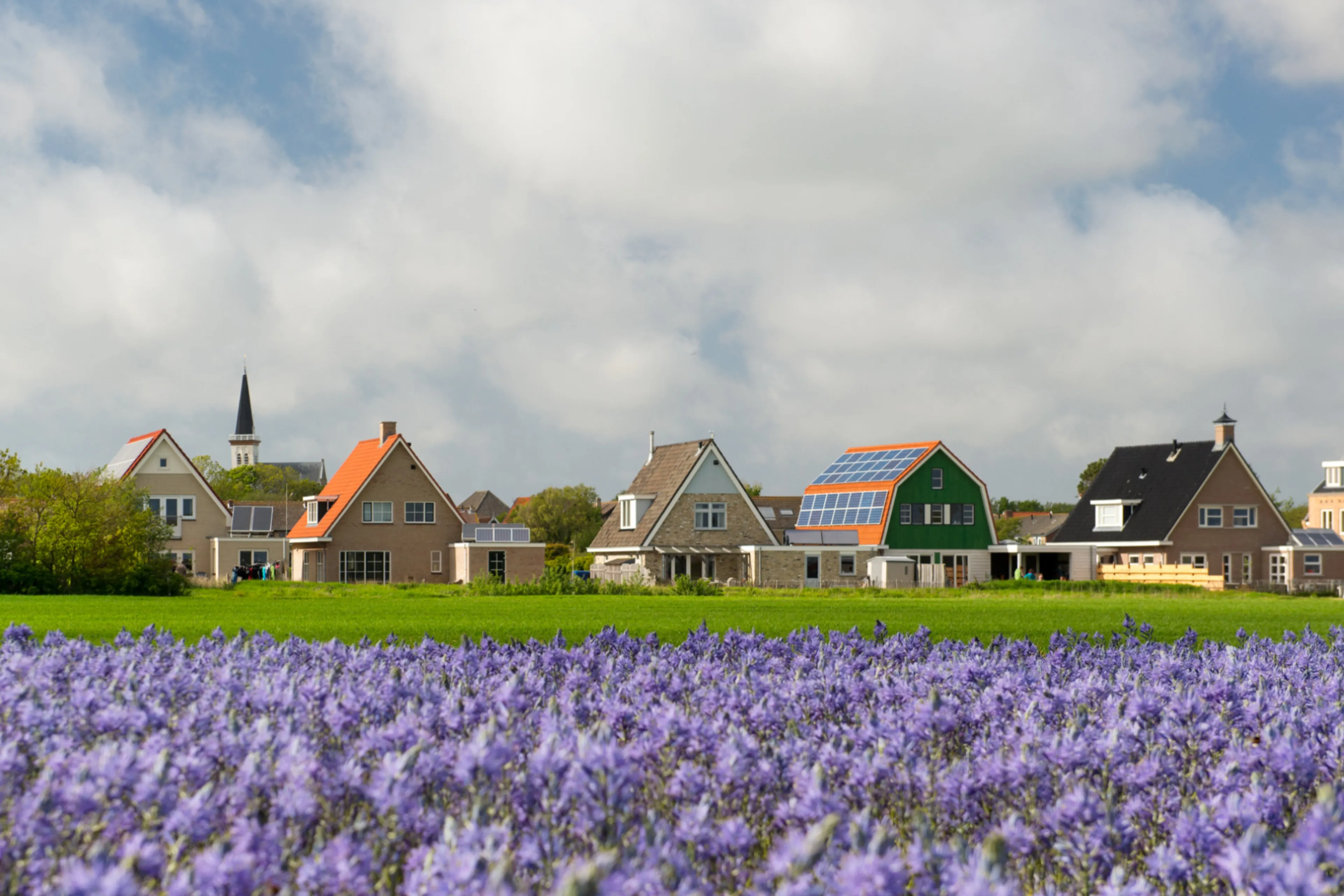 Paars bloemenveld met rij huizen op de achtergrond. Energieneutrale woning.