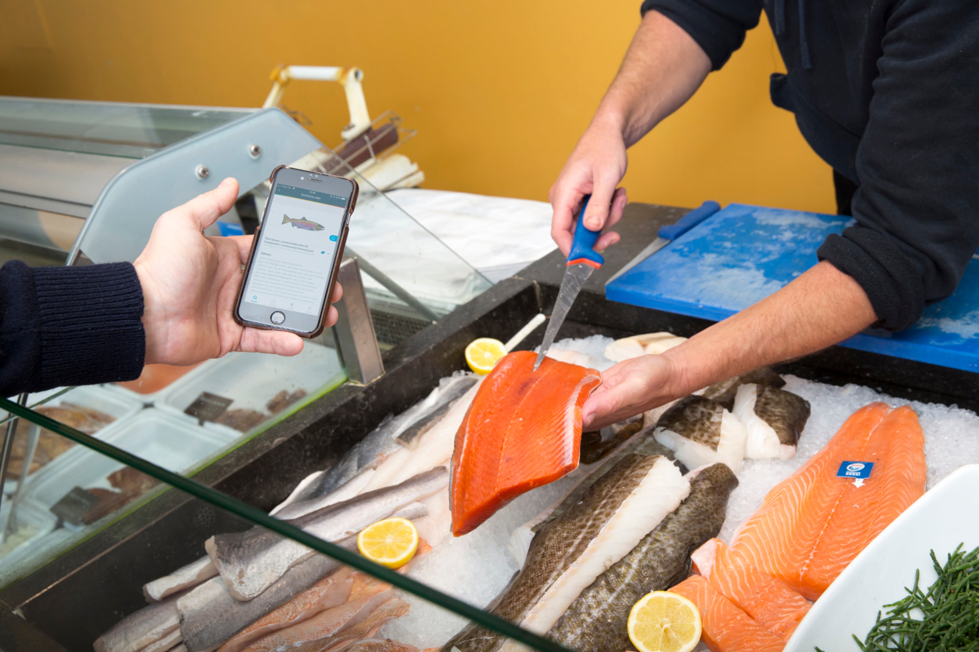 Visboer houdt groot stuk gefileerde zalm in de handen. Milieubewust vis eten.