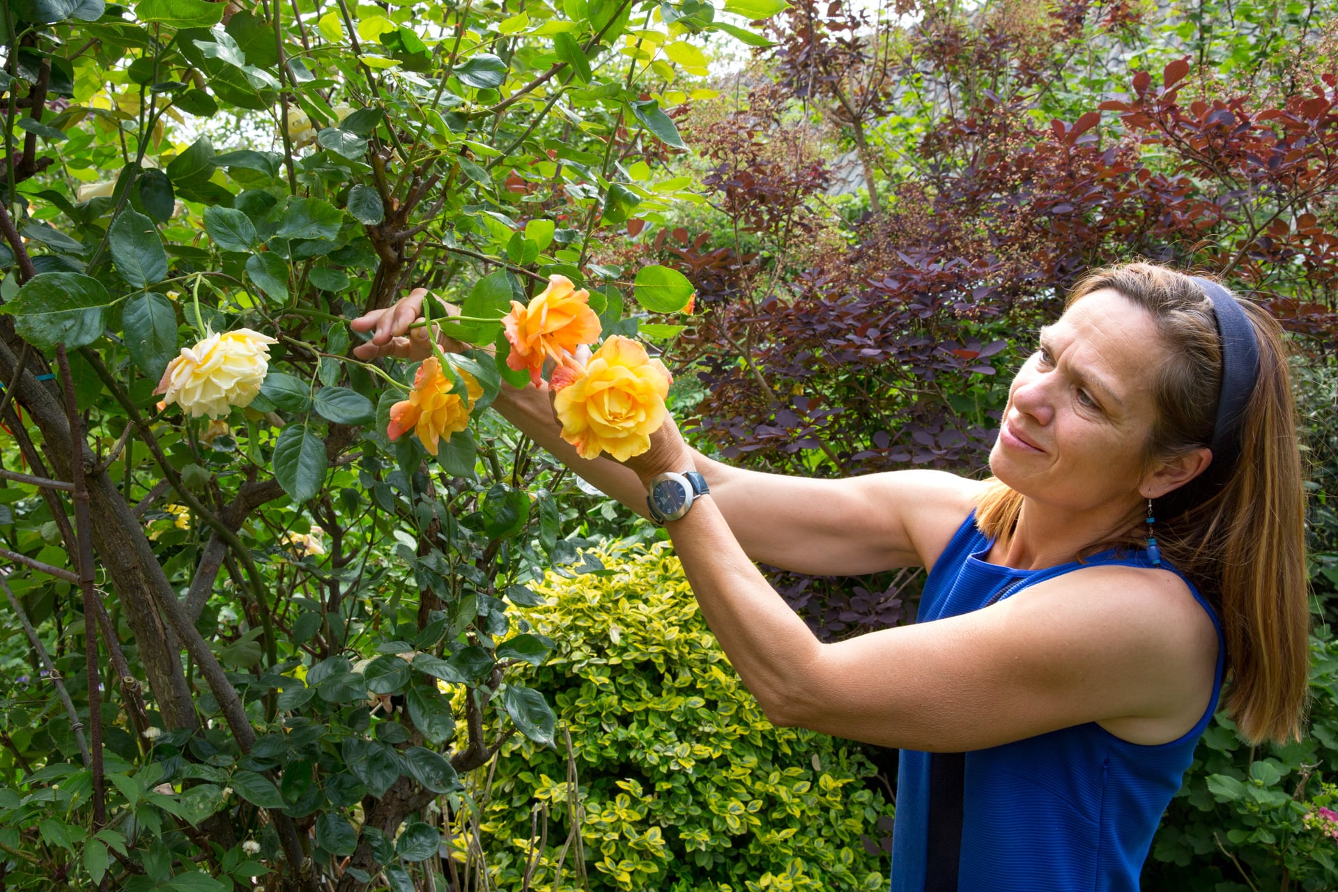 Natuurlijk tuinonderhoud