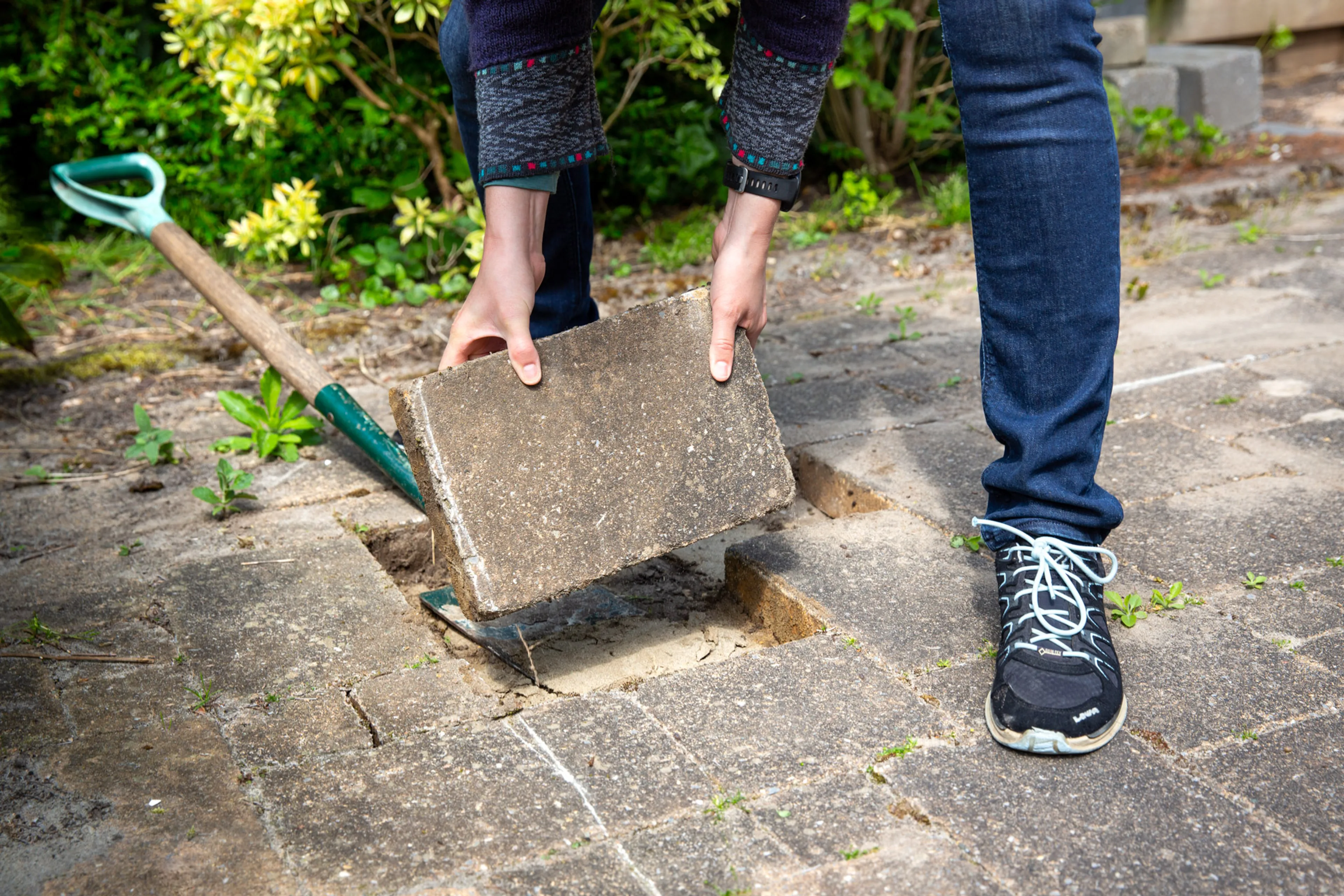 Een vrouw tilt een tegel uit haar tuin. Door tegels te vervangen door groen, draag je bij aan minder wateroverlast, meer verkoeling en meer biodiversiteit.