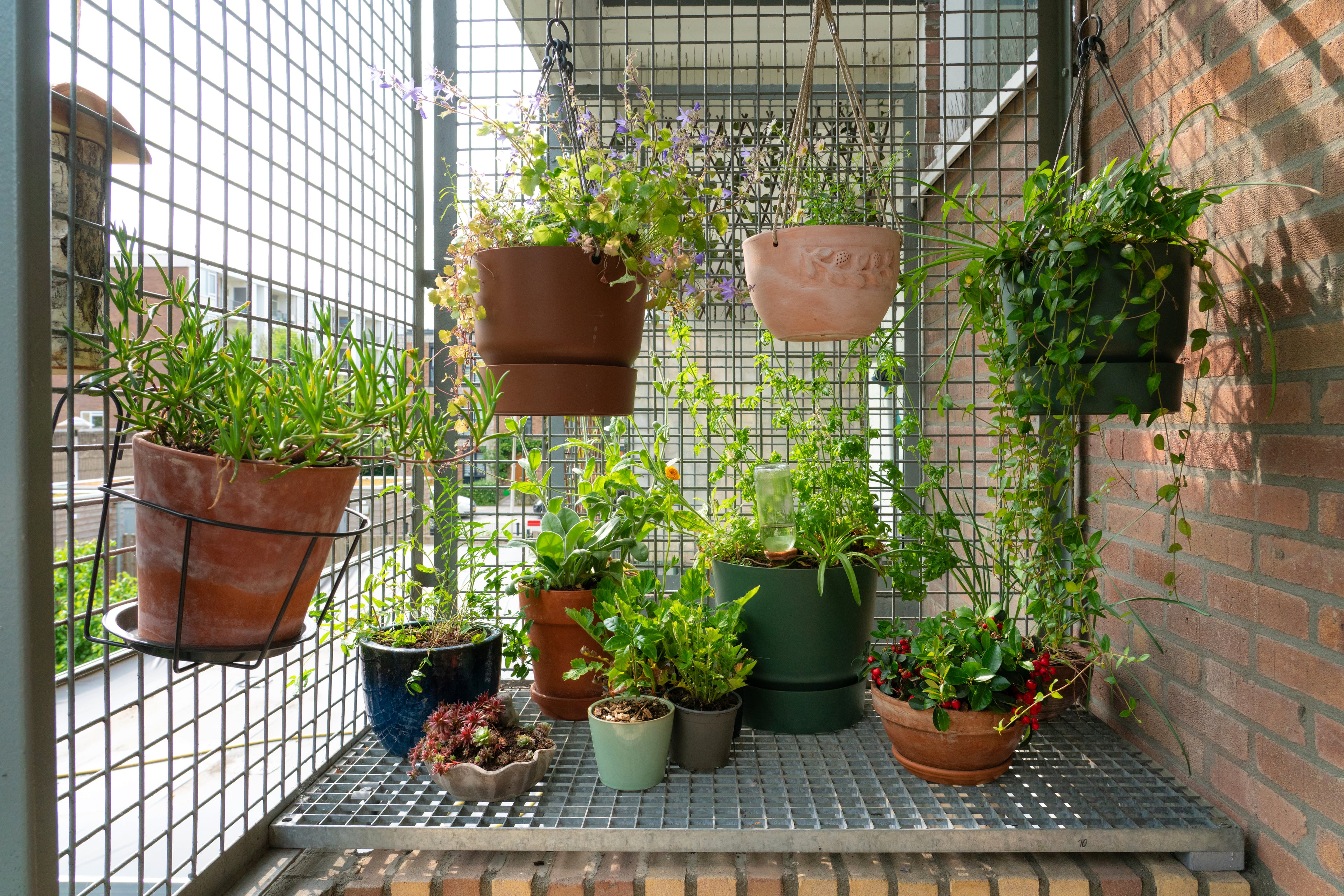 plantenpotten hangen aan klimrek op groen balkon