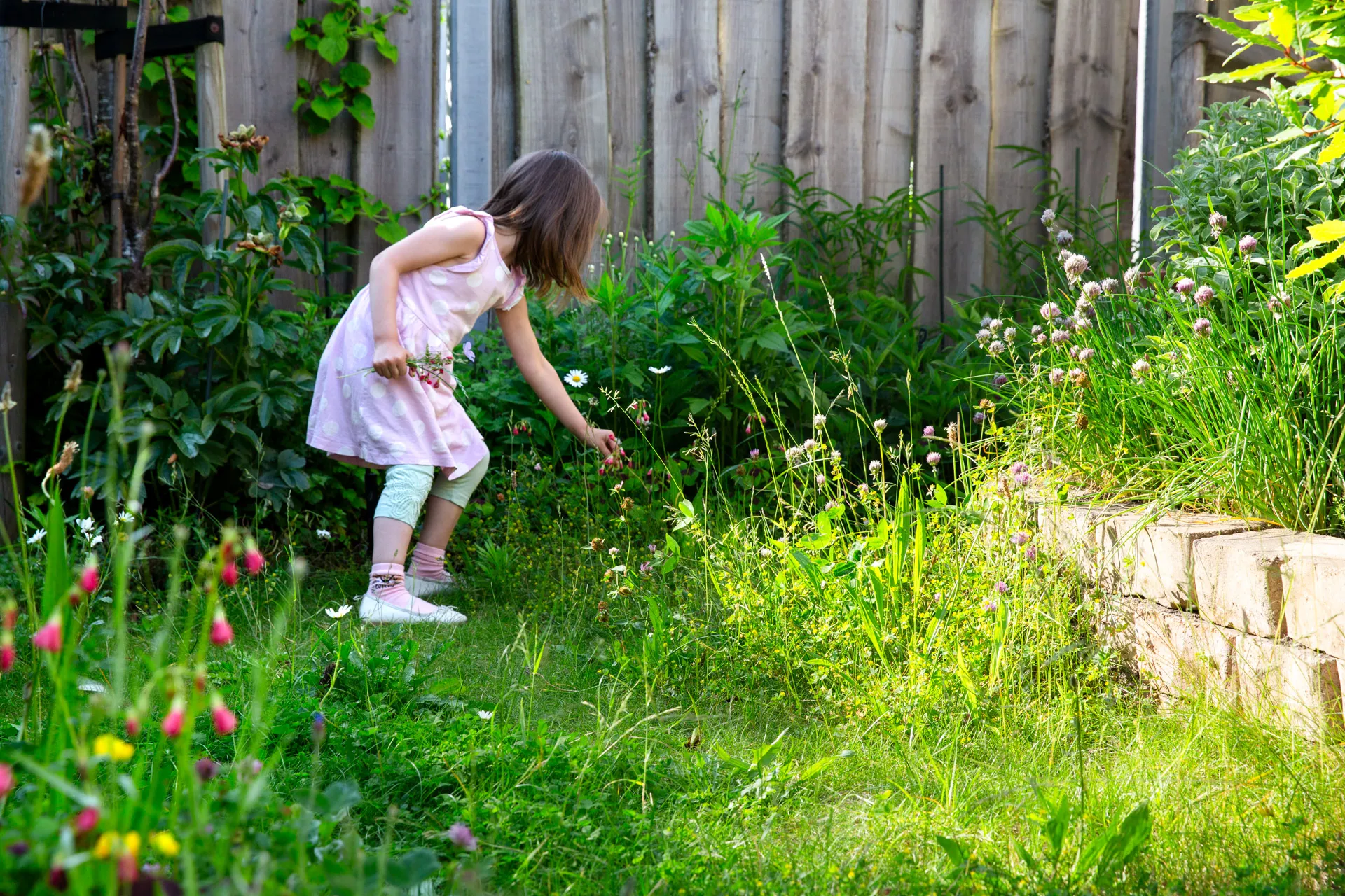 Meisje plukt bloemen in hoog gras