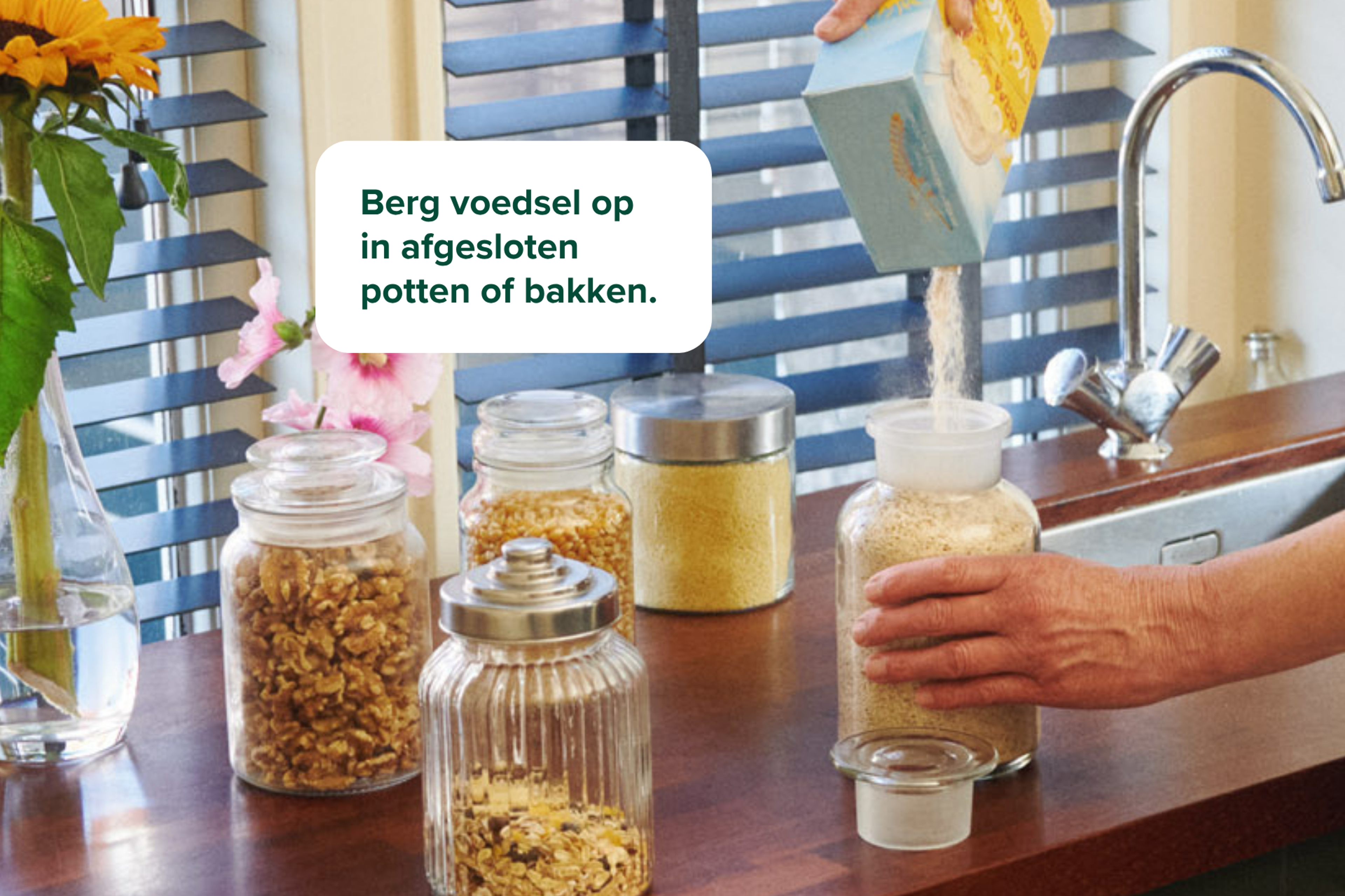Berg voedsel op in afgesloten potten of bakken.