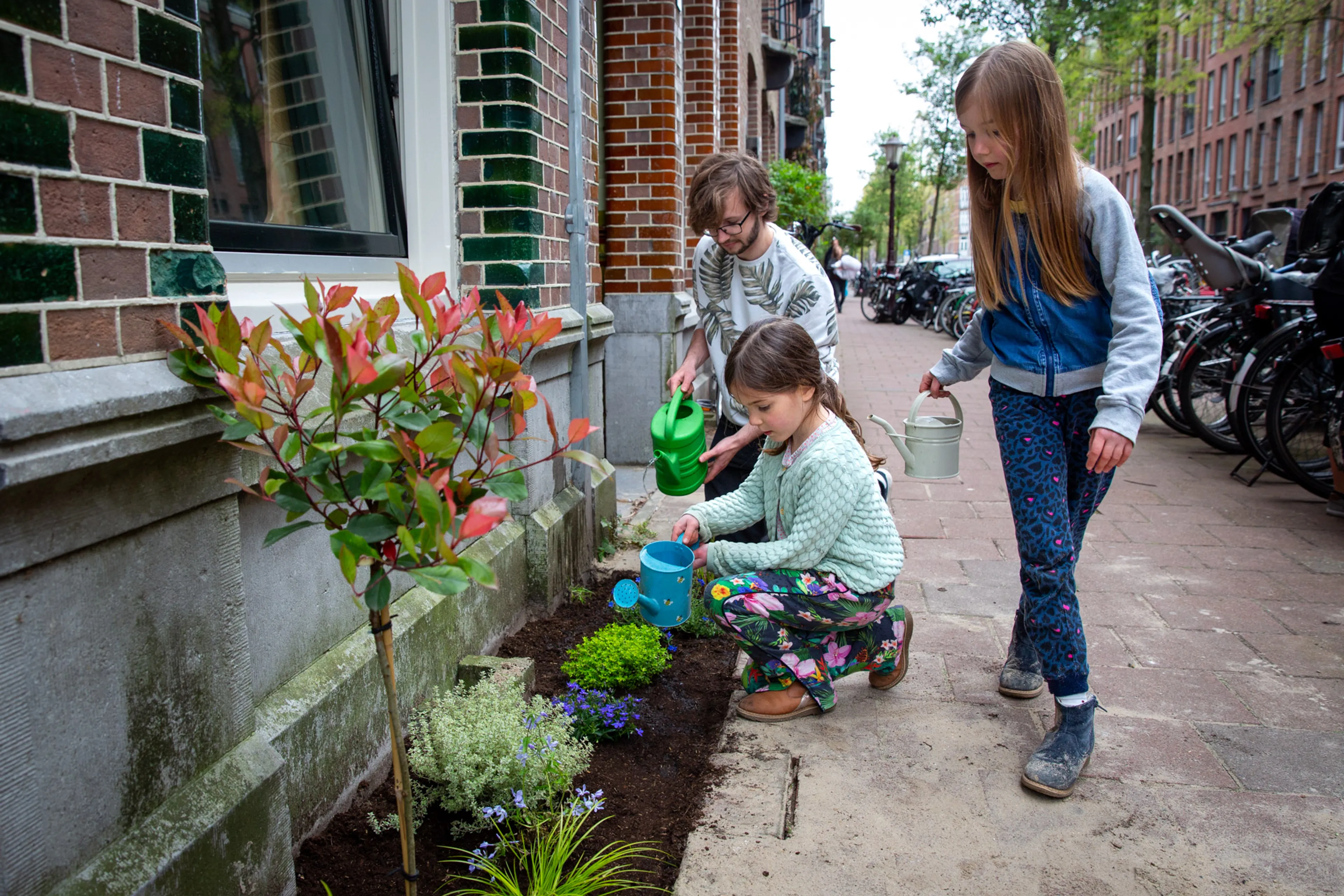 Plantjes water geven geveltuin