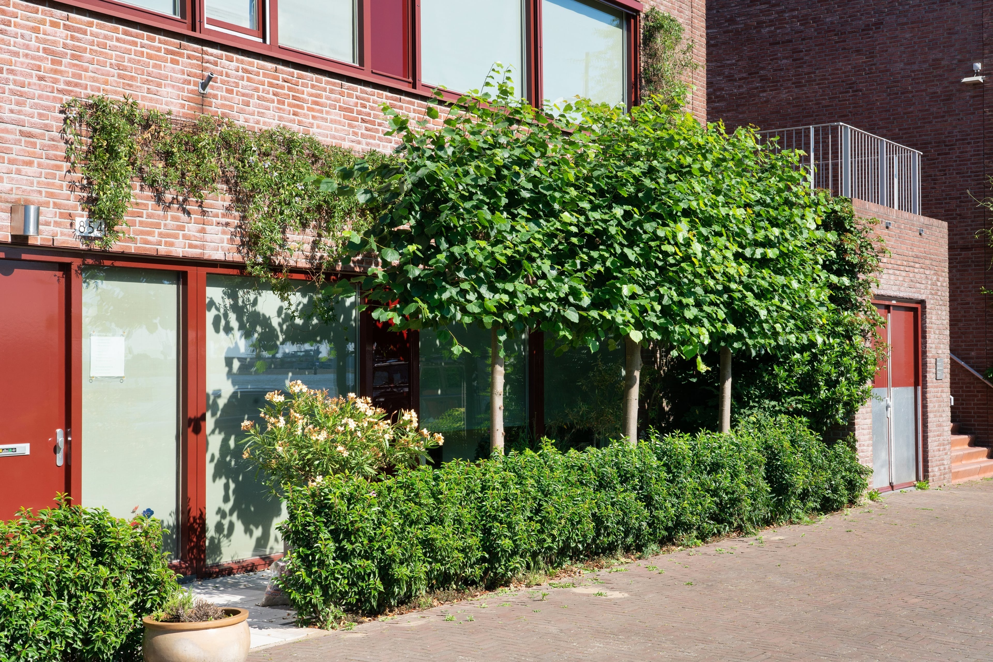 voortuin met bomen