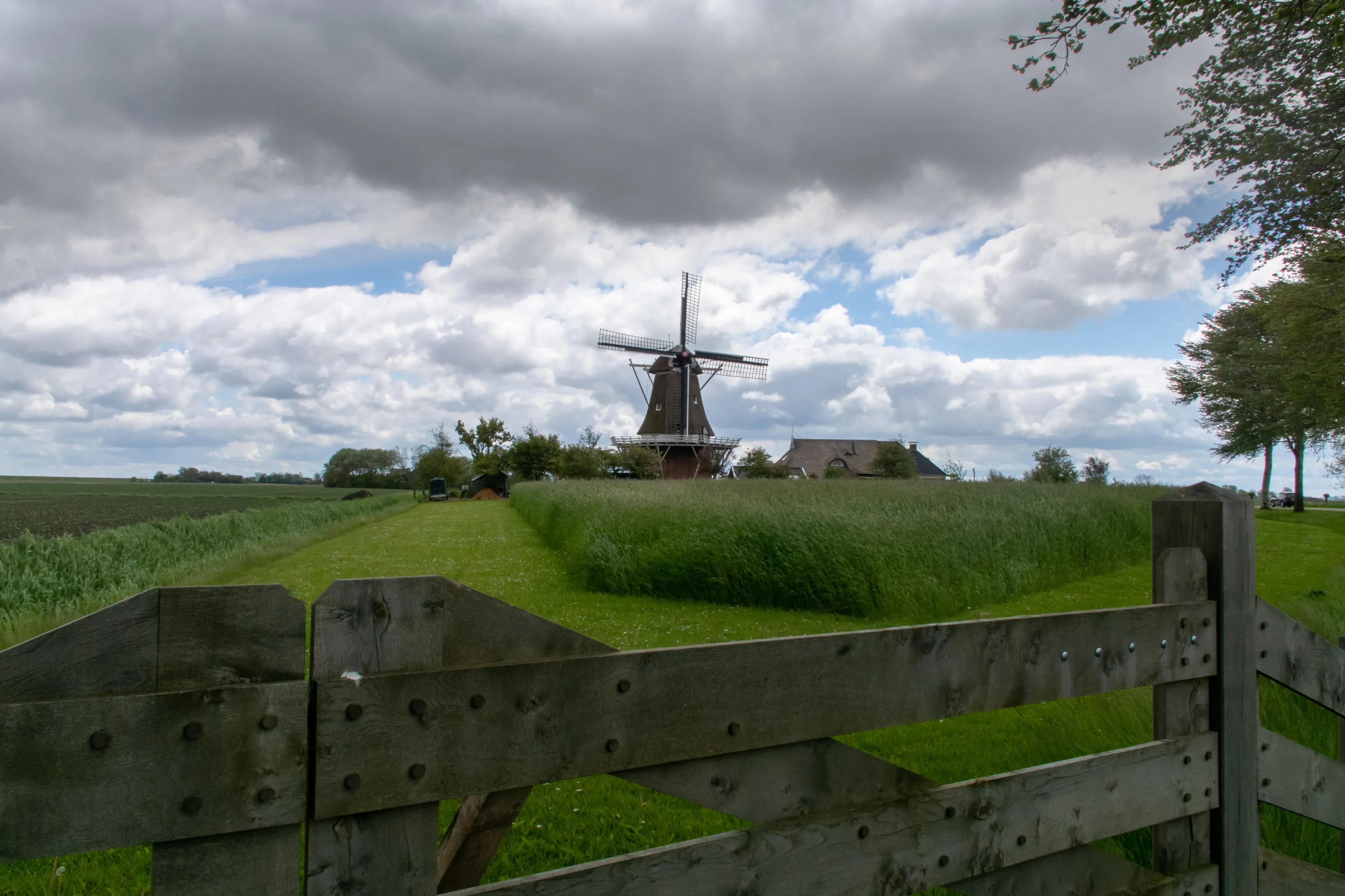 Consumentenonderzoek betrokkenheid bij duurzaamheid en klimaat